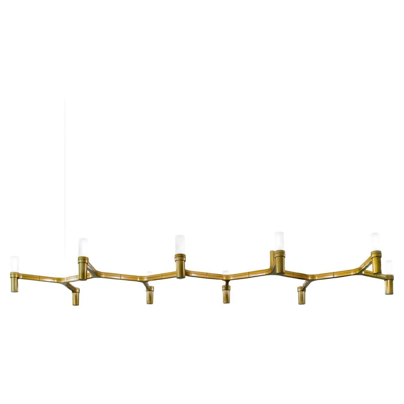 Nemo Crown Plana Linea Pendant Light in Aluminum & Glass Gold Painted