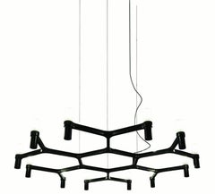 Nemo Crown Plana Minor Pendant Light in Aluminum & Glass Black Painted