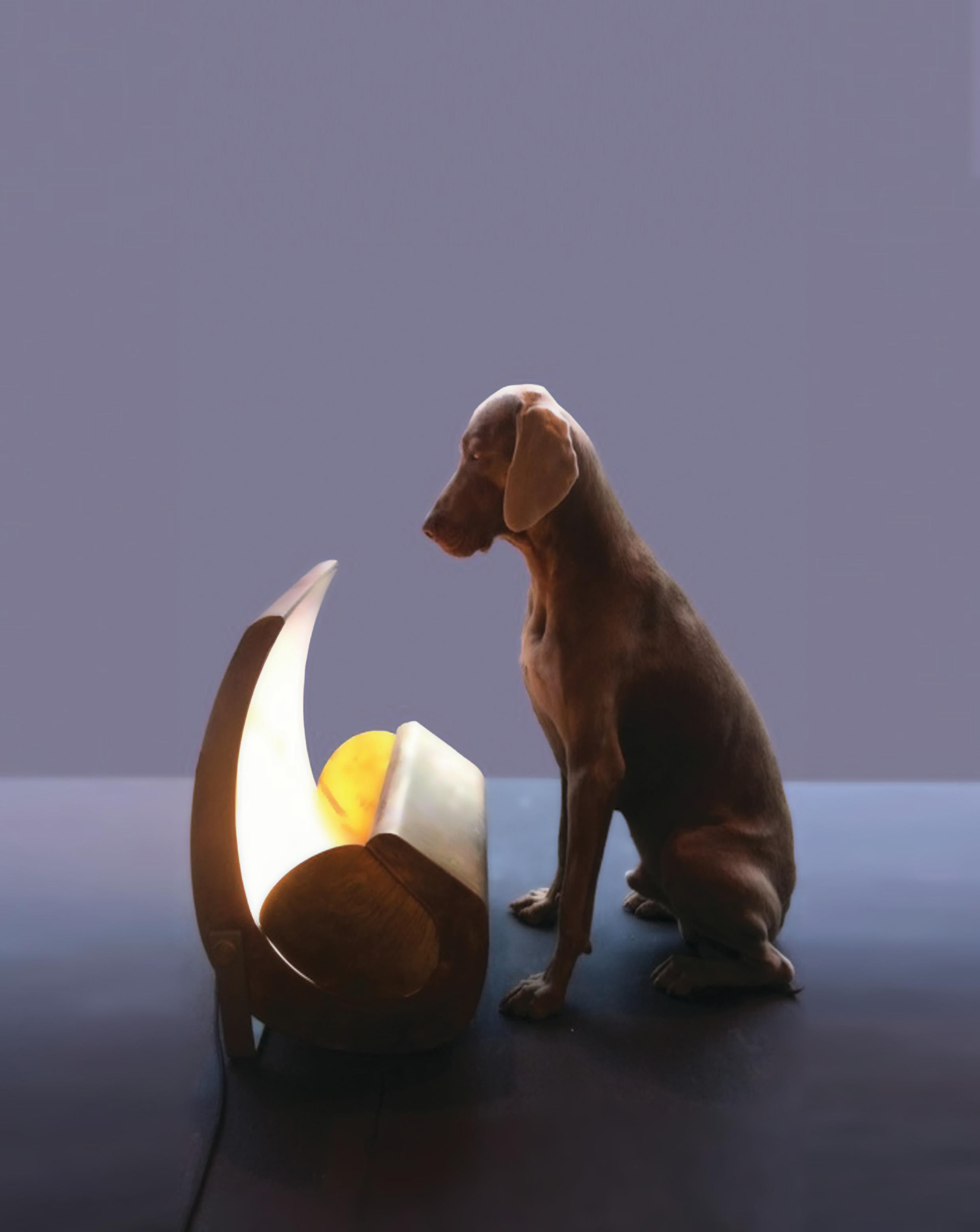 Lampada da terra Nemo Escargot in ottone di Le Corbusier in vendita 1