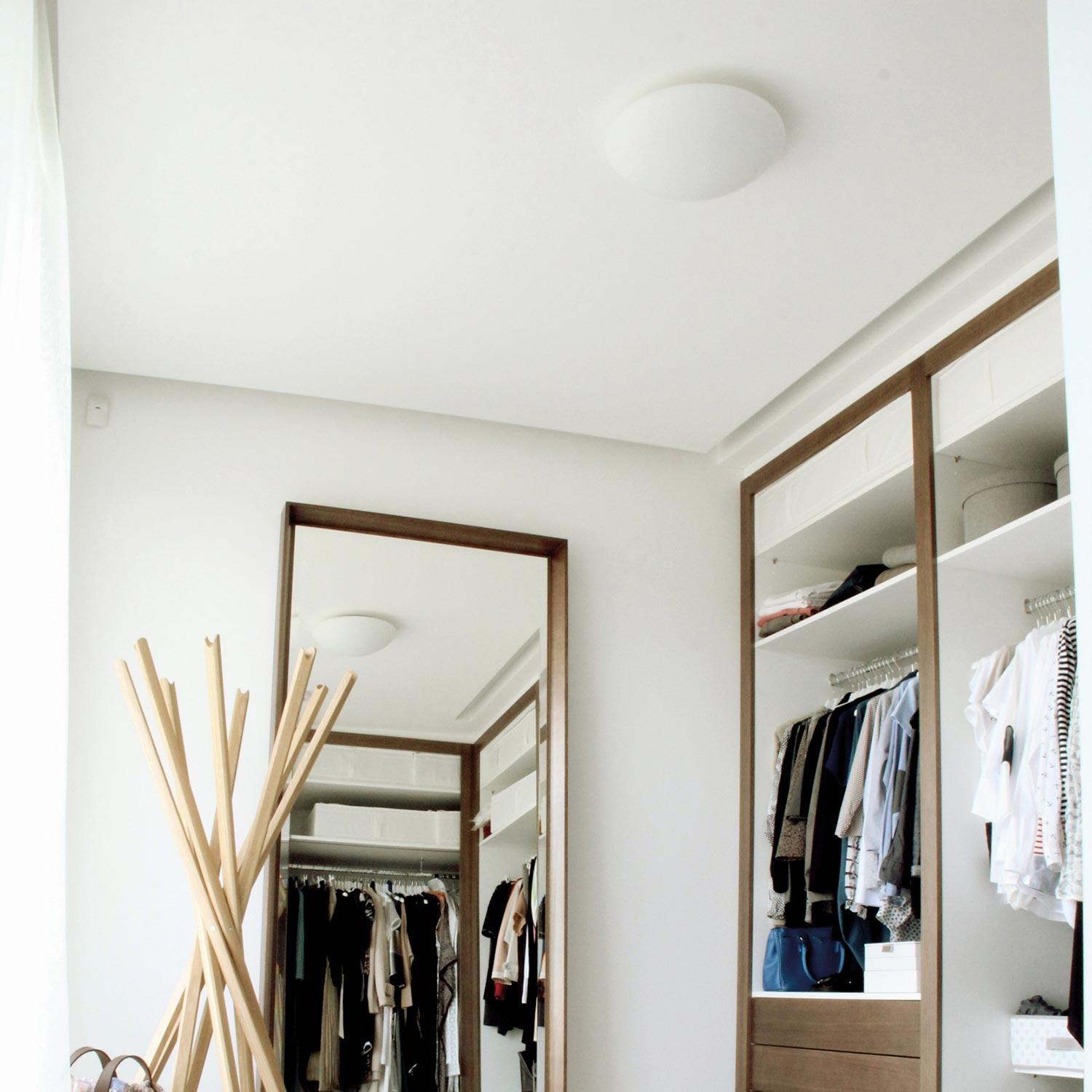 Nemo Janeiro Collection 10