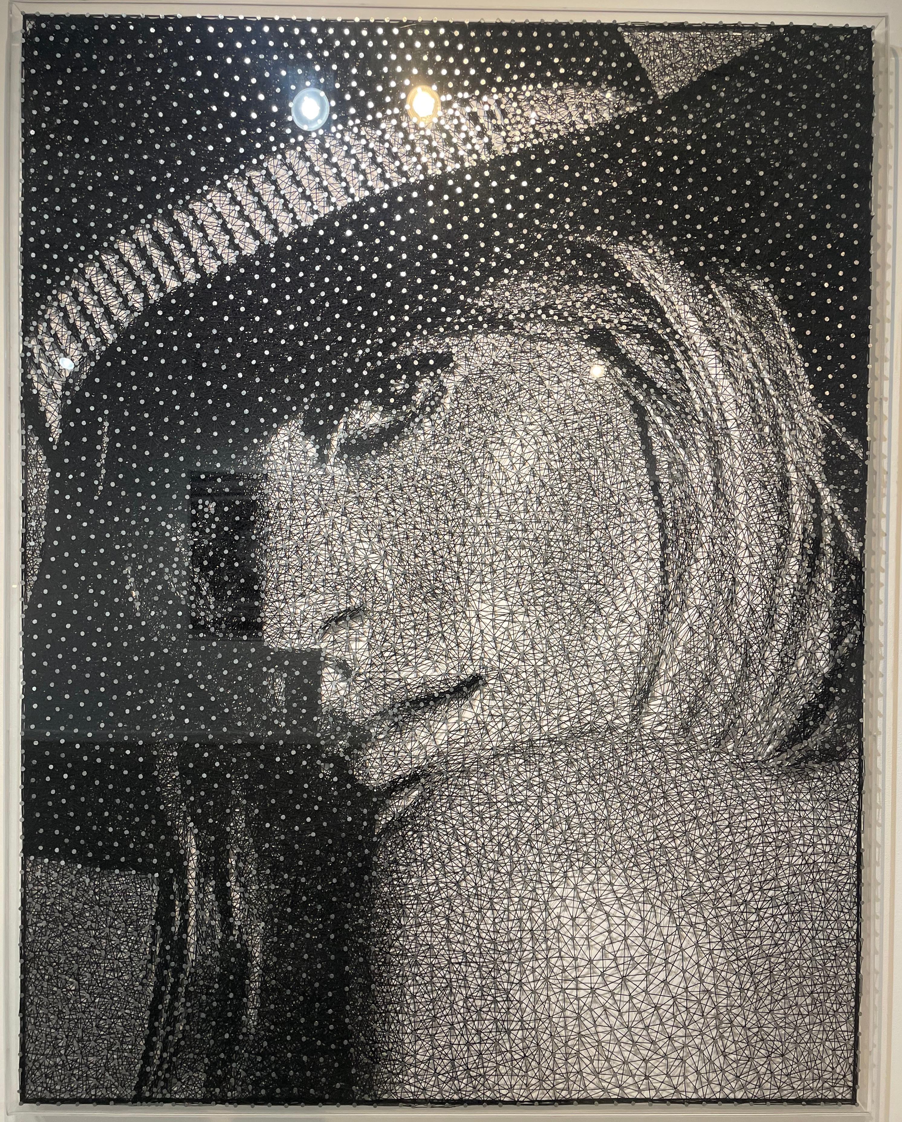 Nails and thread on wooden panel, comes in plexi glass box.

In his latest body of work, the Dutch artist Nemo Jantzen is combining skills obtained in the earlier years of his career as a painter, sketching his subjects on canvas or paper and