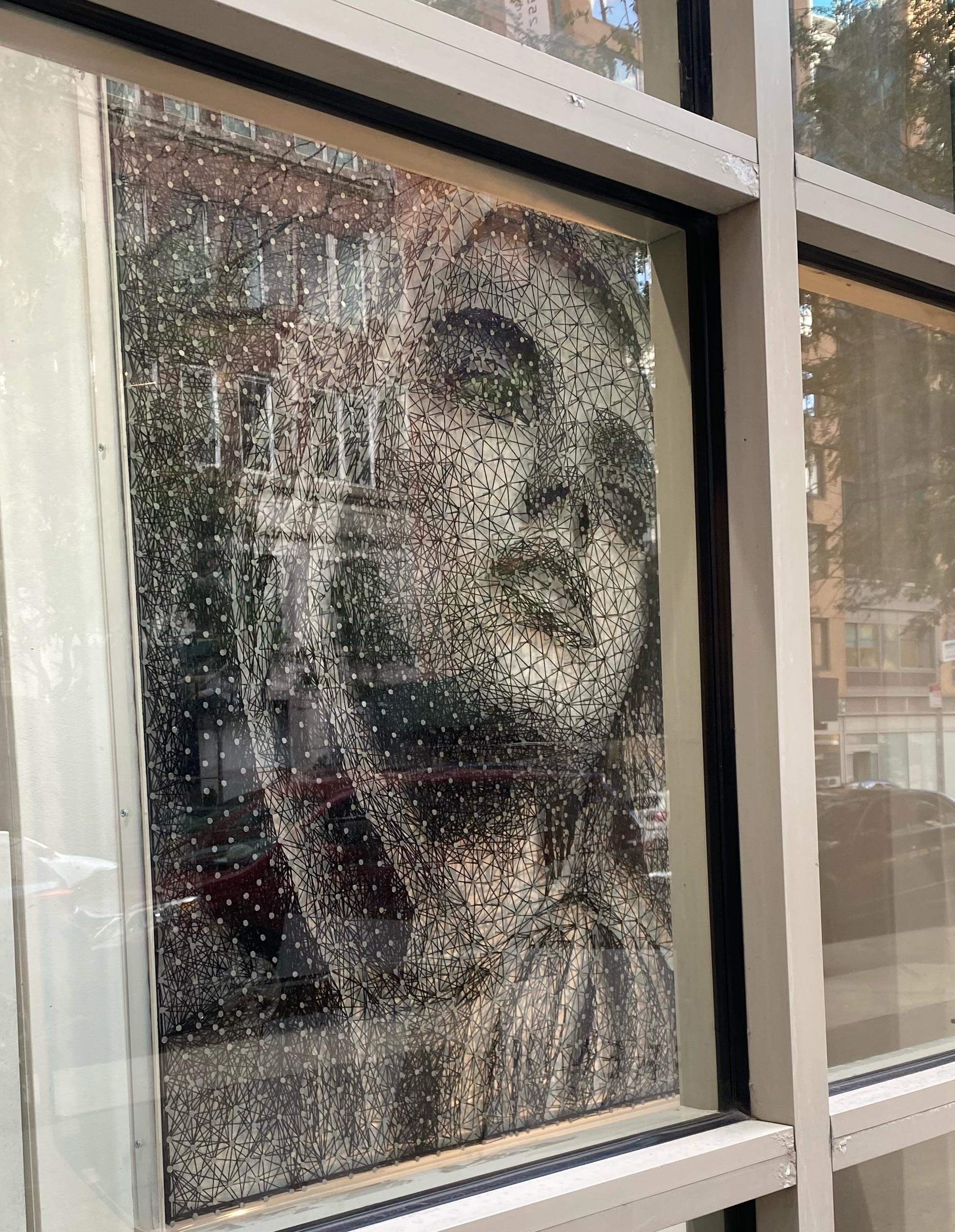 Nemo Jantzen, nacido en 1970 en La Haque, estudió arte, diseño y fotografía en la Academia de Arte RTO de Rotterdam. Tras sus estudios, se trasladó a Amberes para trabajar como diseñador gráfico y cartelista, al tiempo que seguía desarrollando su