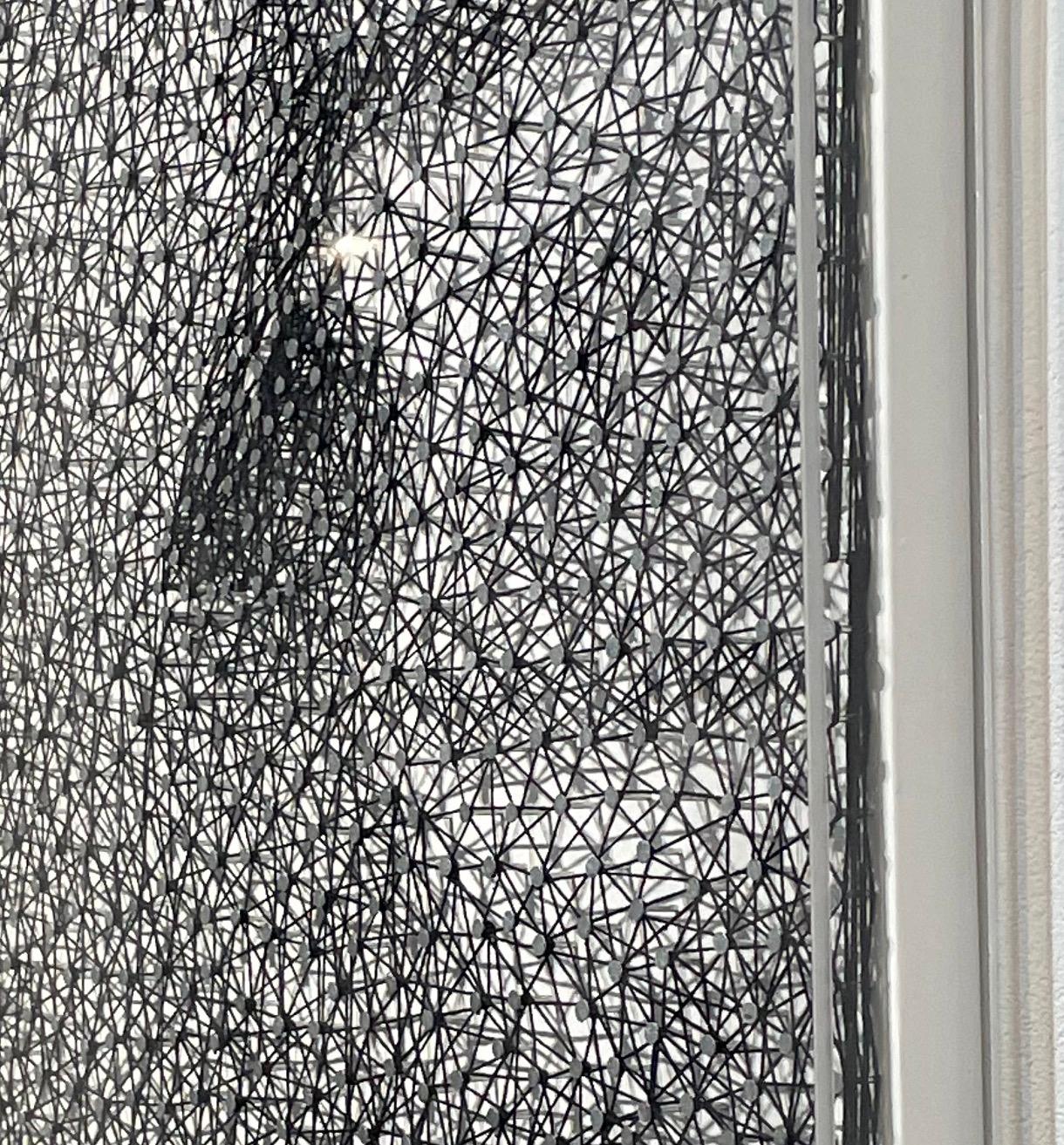 Nails and thread on wooden panel, comes in plexi glass box.

In his latest body of work, the Dutch artist Nemo Jantzen is combining skills obtained in the earlier years of his career as a painter, sketching his subjects on canvas or paper and