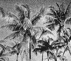 Nemo Jantzen - Kaba Kaba Kaba Kaba