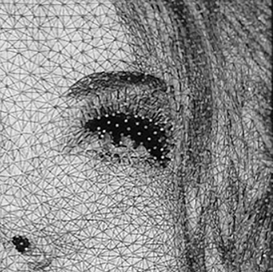 Tecnica: Chiodi e filo su legno in plexiglass

Nemo Jantzen è un artista multimediale dei Paesi Bassi. Gli spettacolari pezzi di questa serie sono costituiti da chiodi e fili su legno bianco per creare una texture che, se guardata da lontano,