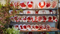 "NEMO" Juego de mayólica diseñado por Aude Clément para 12 personas '38 piezas