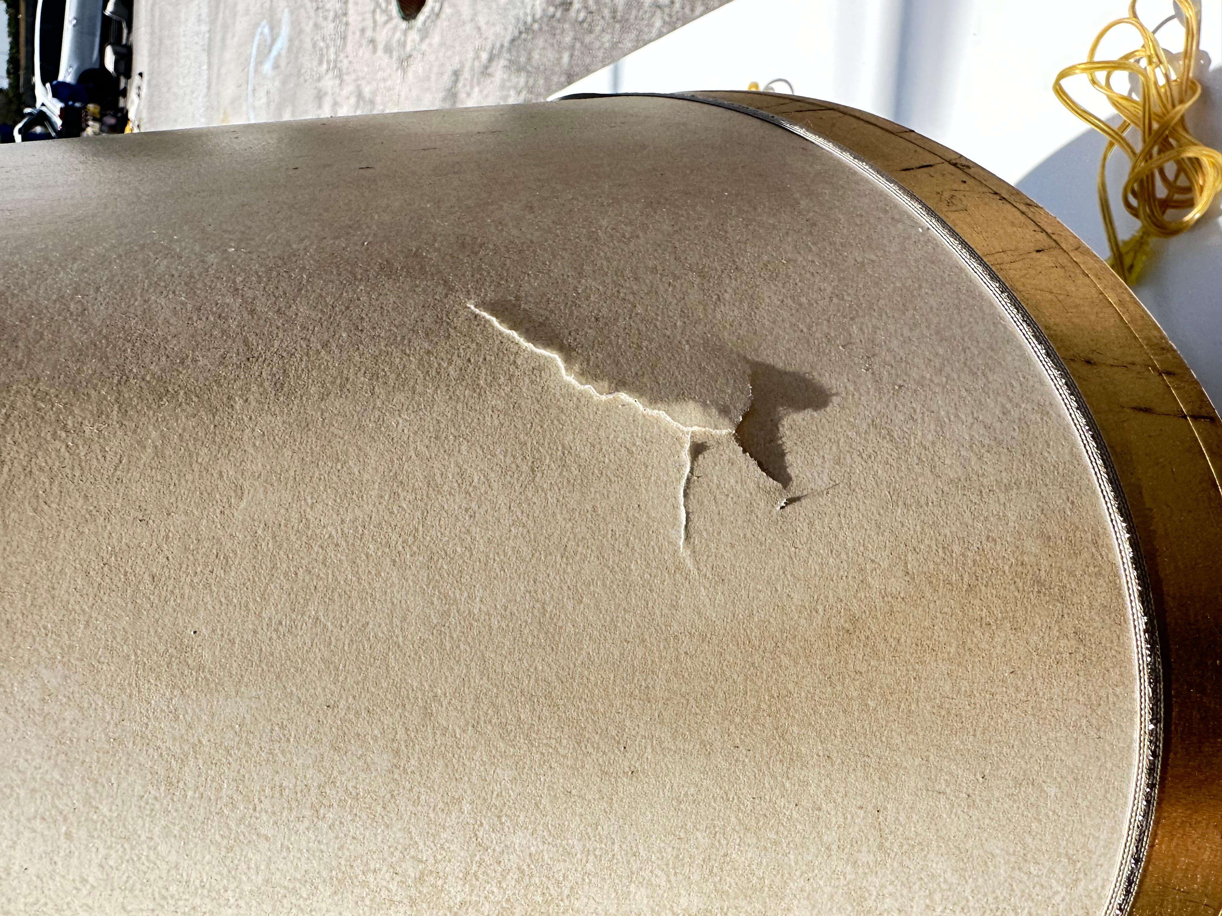 Neoclassic Lion-Head Gilt Table Lamps 5