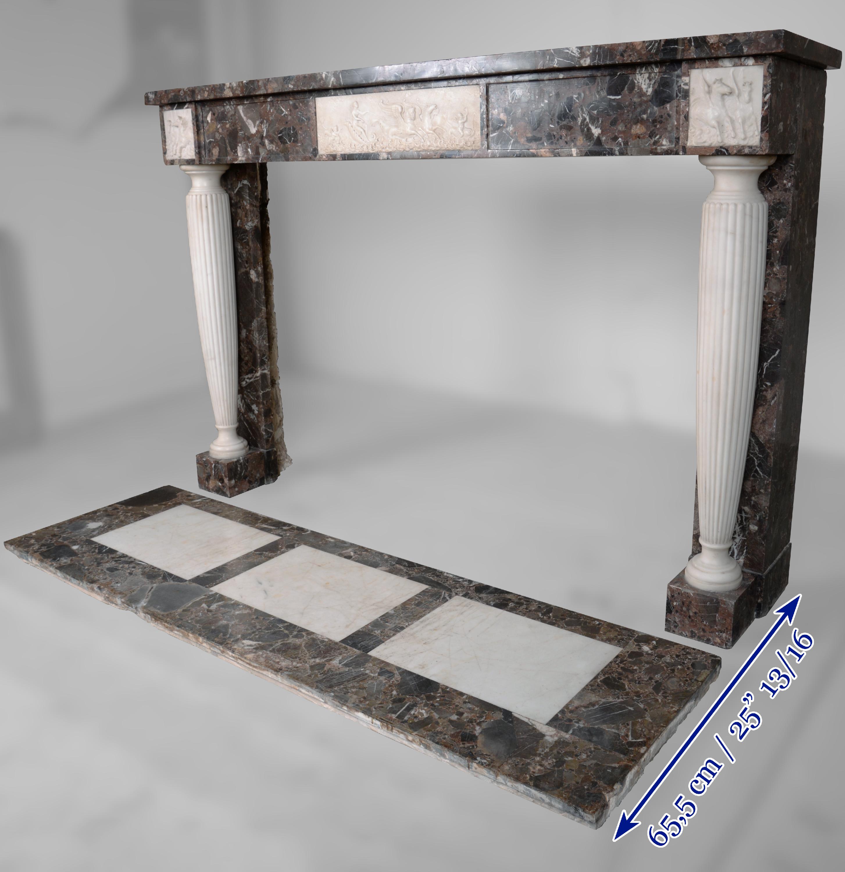 Neo Louis XVI Style Fireplace in Imperator and Statuary Marble For Sale 1