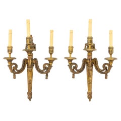 Wall Lights and Sconces