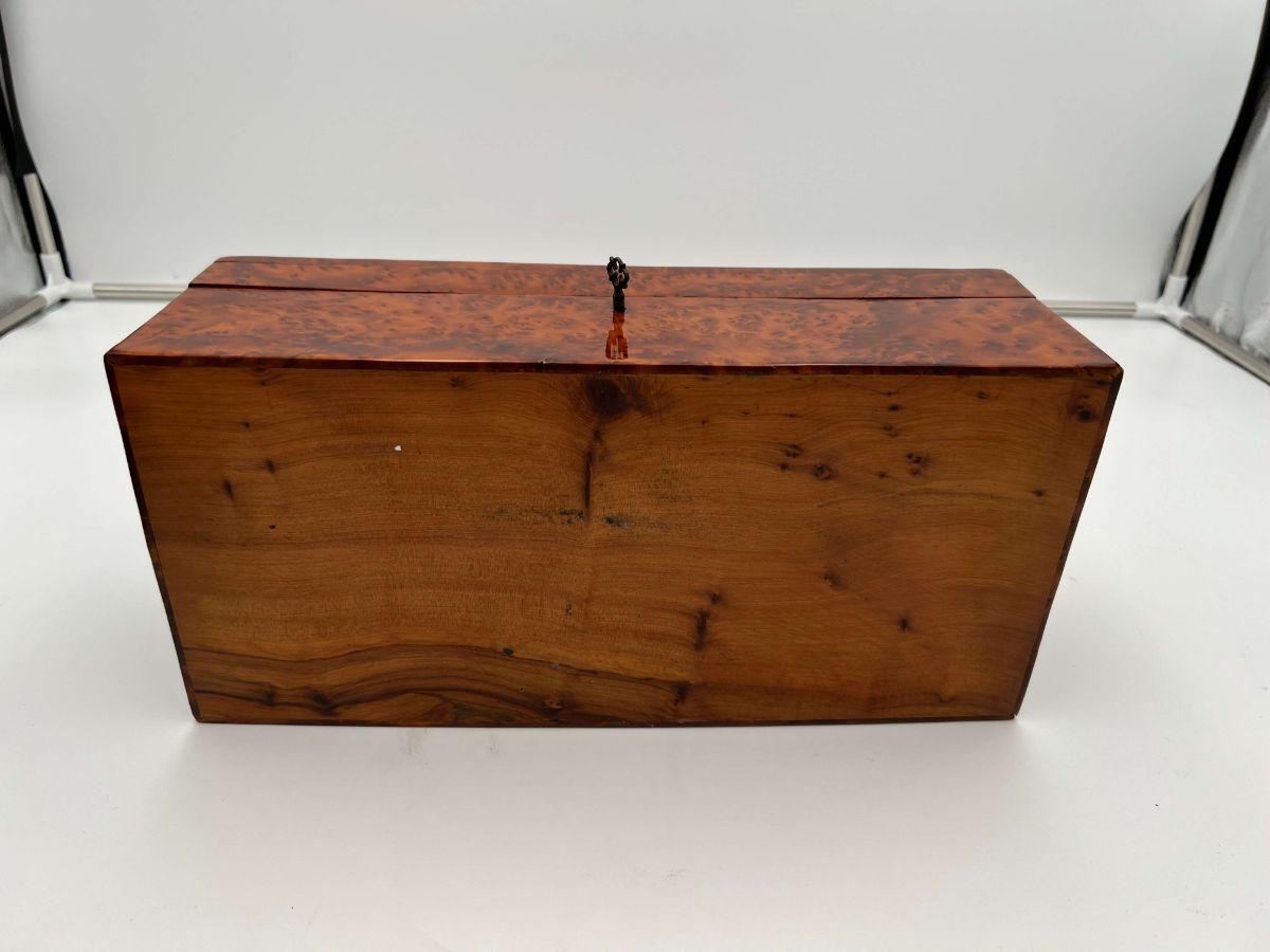 Neoclassical Biedermeier Box, Walnut Roots Wood, France, circa 1820 8