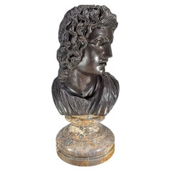Neoclassical Bronze Bust of Apollo on Marble Pedestal