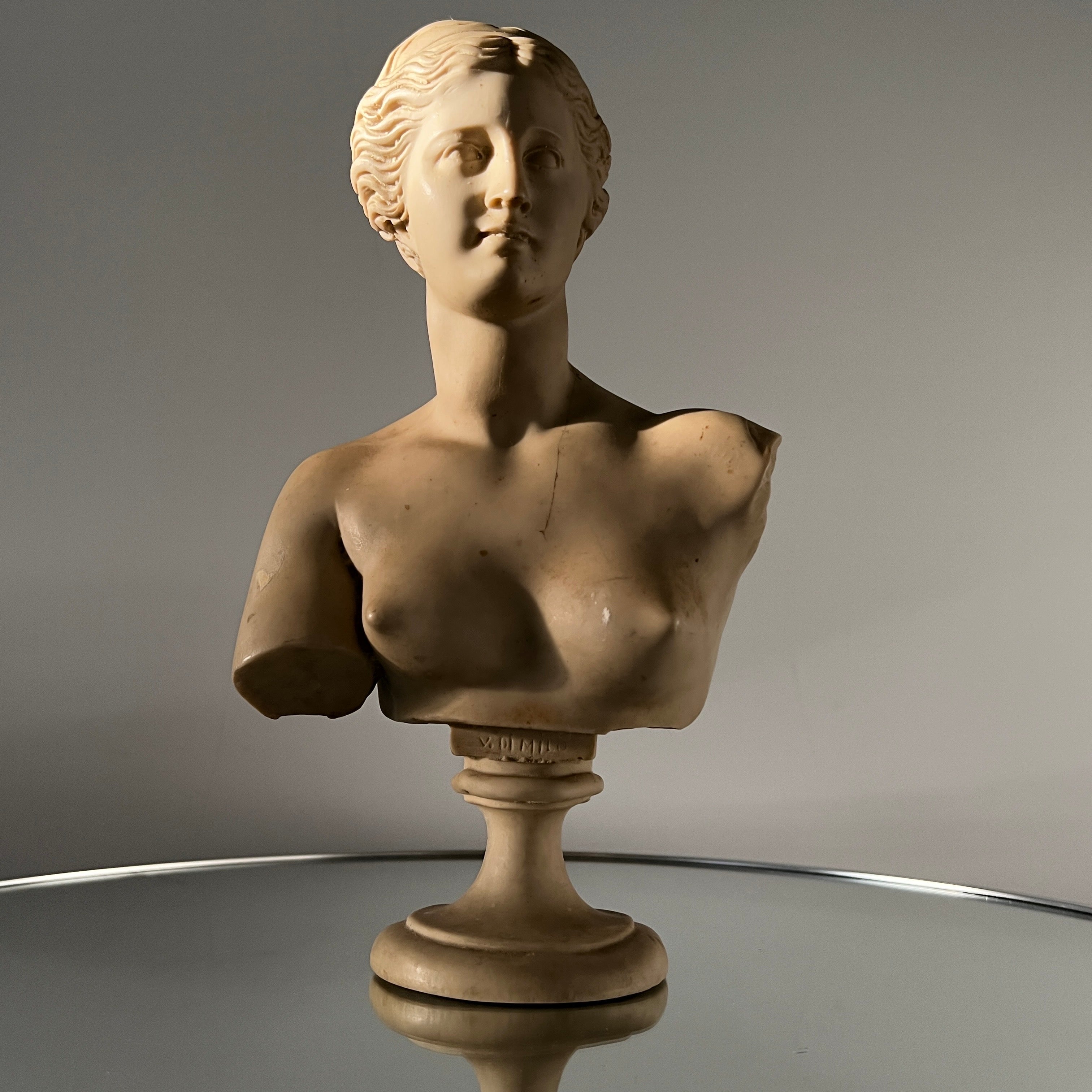 Neoclassical Bust of Venus de Milo, Italy c. 1950's 3