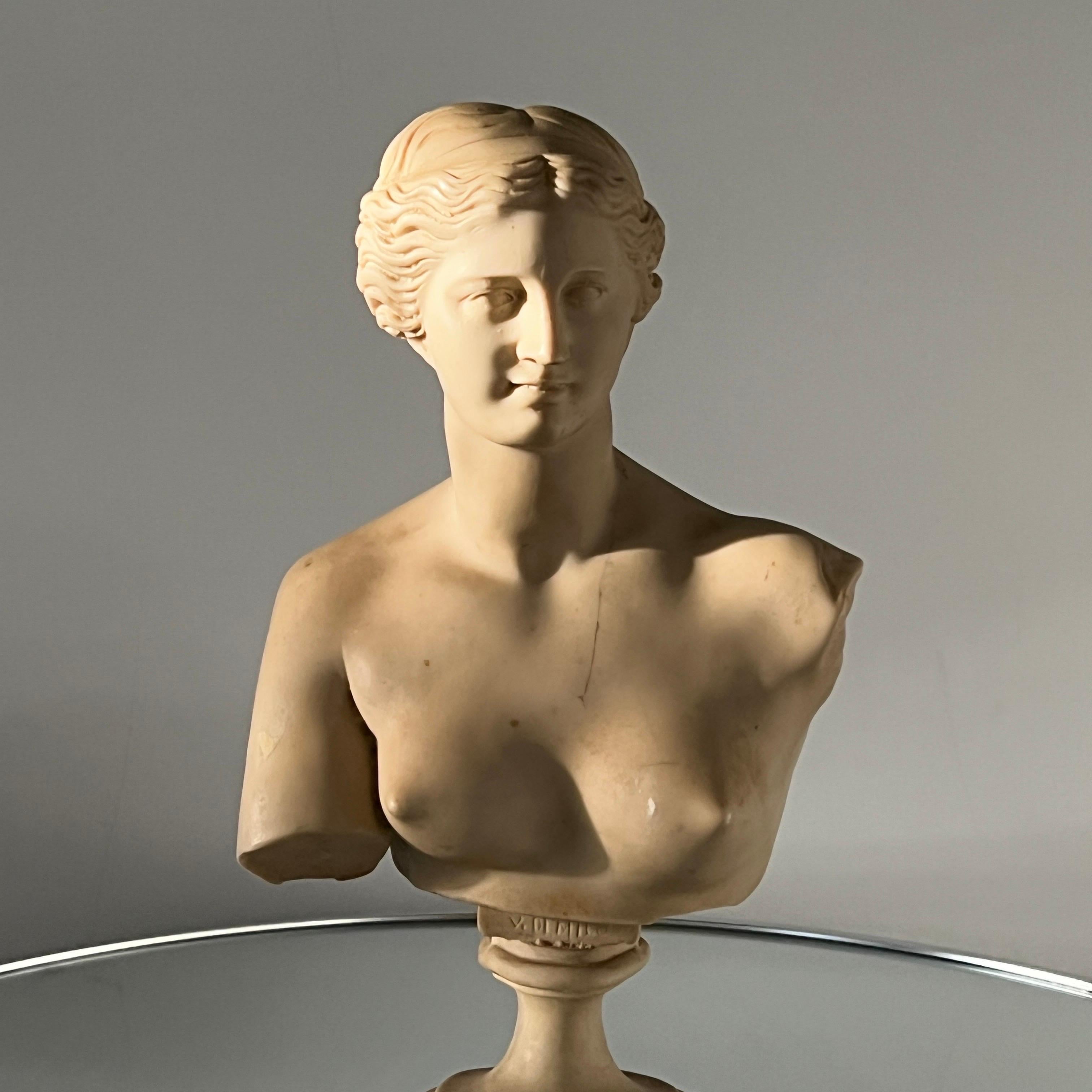 Neoclassical Bust of Venus de Milo, Italy c. 1950's 4