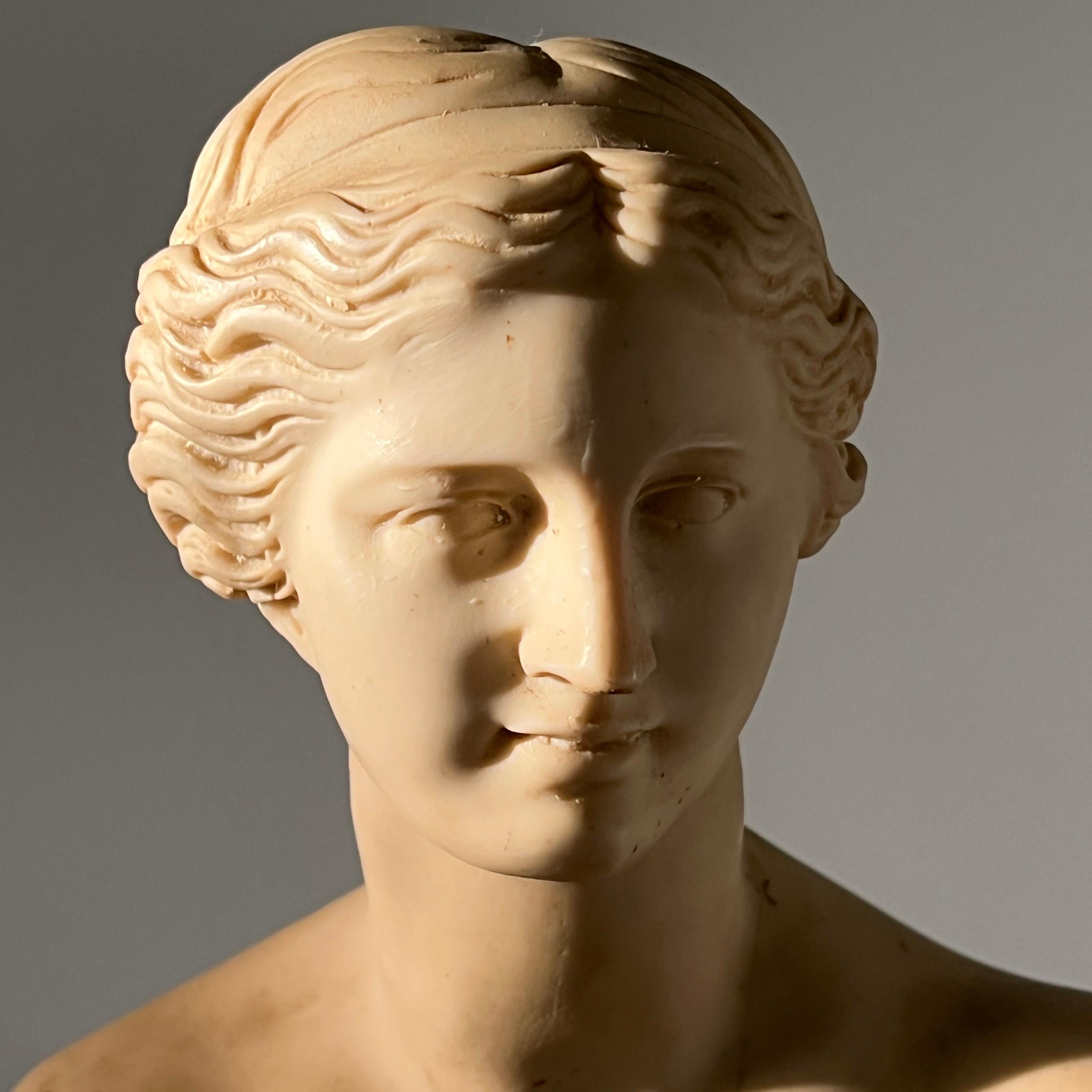 Neoclassical Bust of Venus de Milo, Italy c. 1950's 1