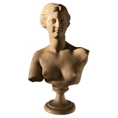 Neoclassical Bust of Venus de Milo, Italy c. 1950's