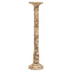 Neoclassical Calacatta Marble Pedestal