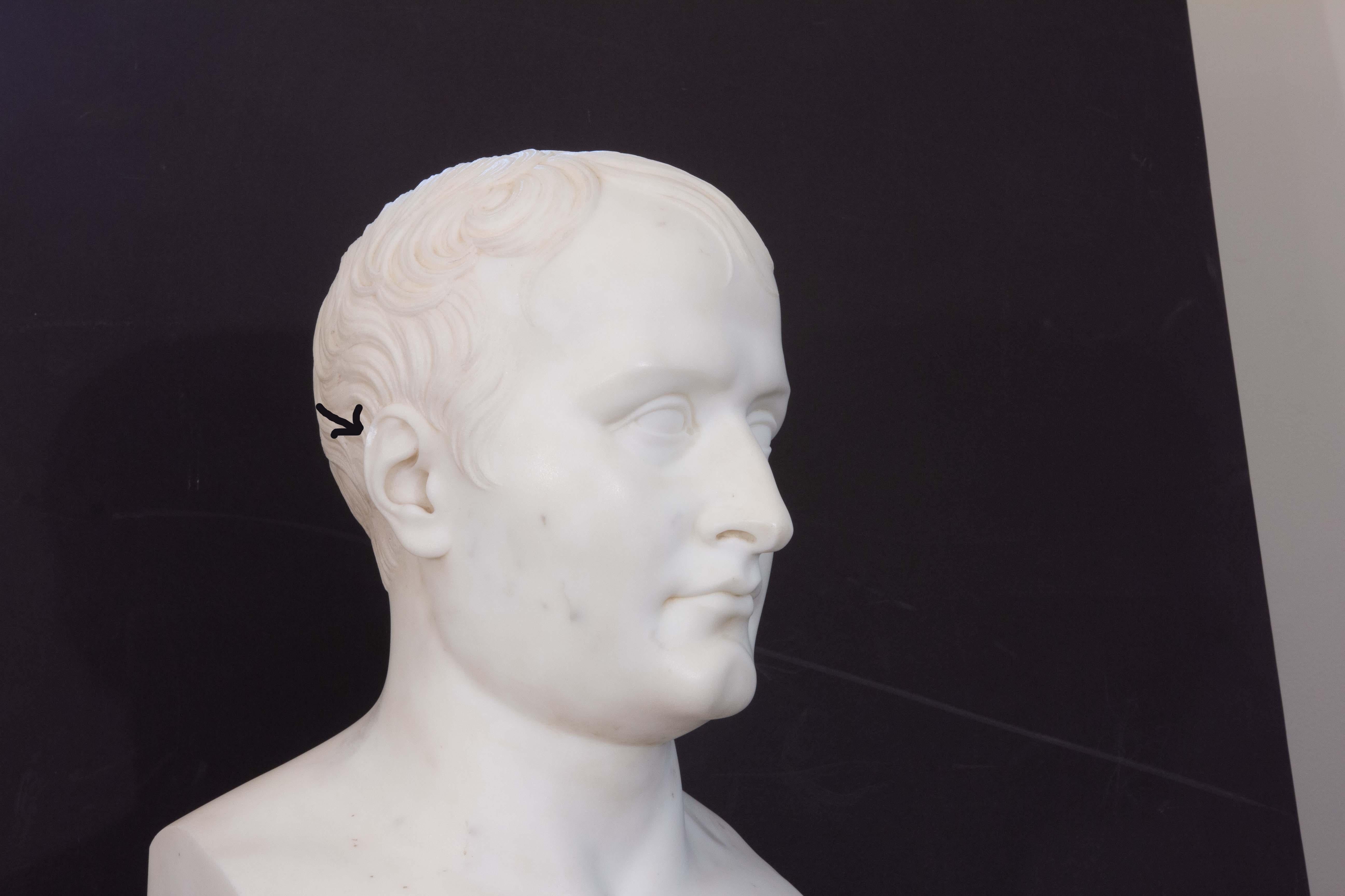 Neoclassical Carved Marble Bust of Napoleon Bonaparte After Antonio Canova 5