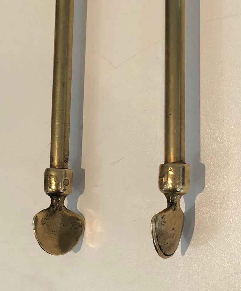 Neoclassical Fireplace Tools in Brass with Duck Heads, French, circa 1960 For Sale 9