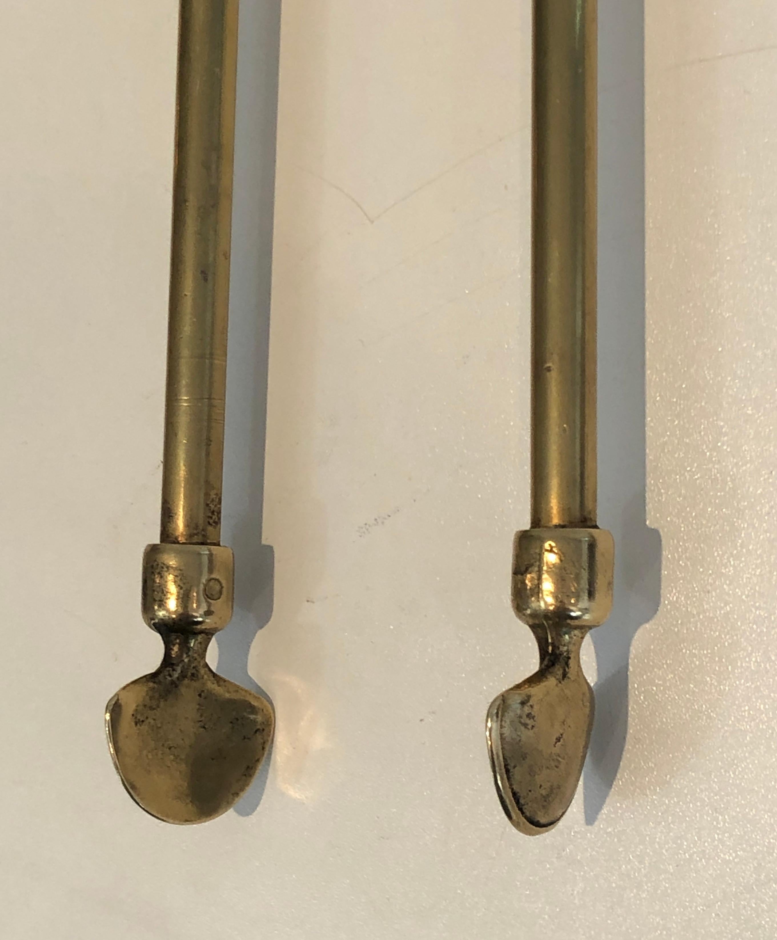 Neoclassical Fireplace Tools in Brass with Duck Heads, French, circa 1960 9