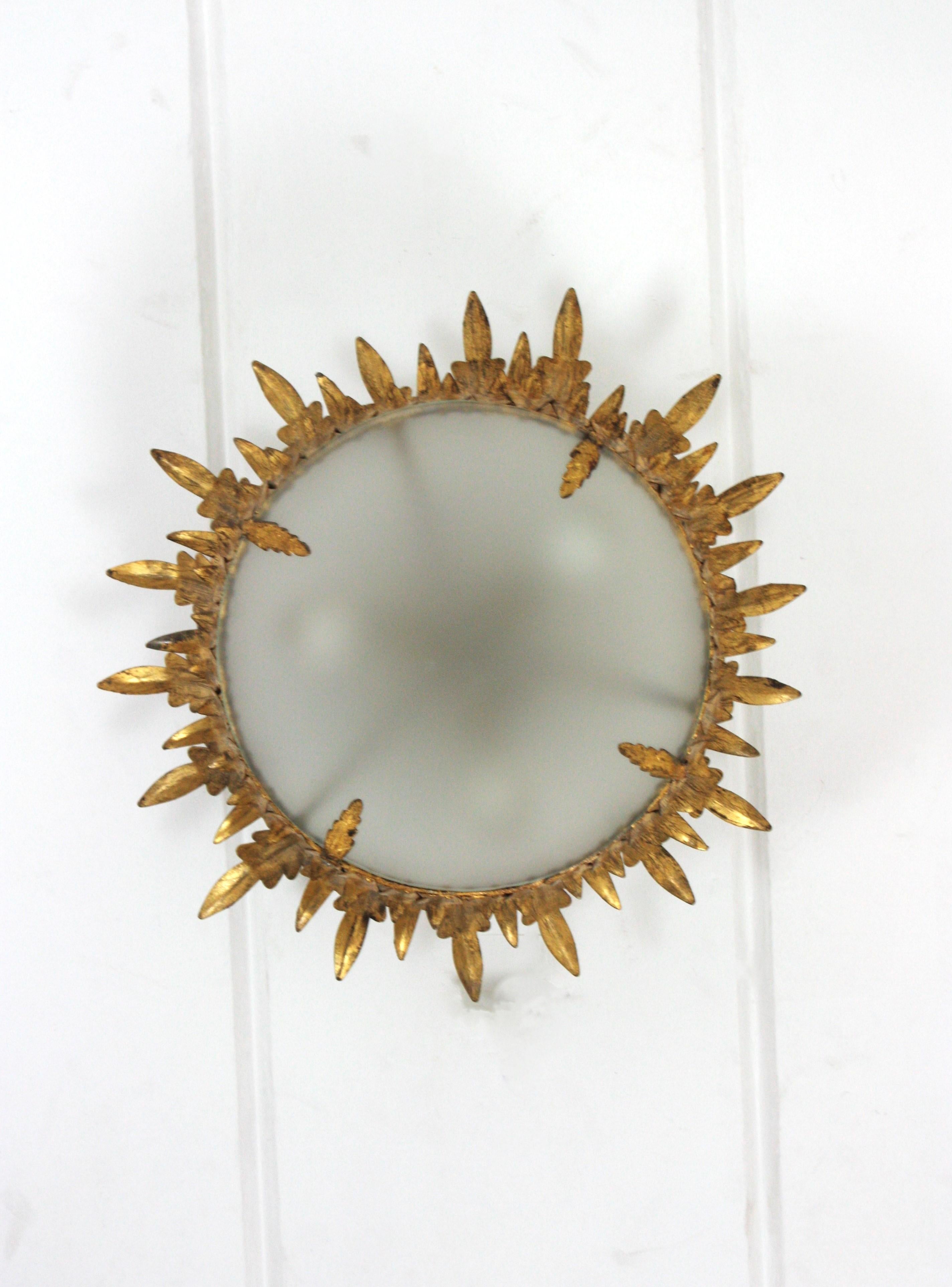 Neoclassical Foliage Sunburst Crown Ceiling Light Fixture / Chandelier For Sale 6