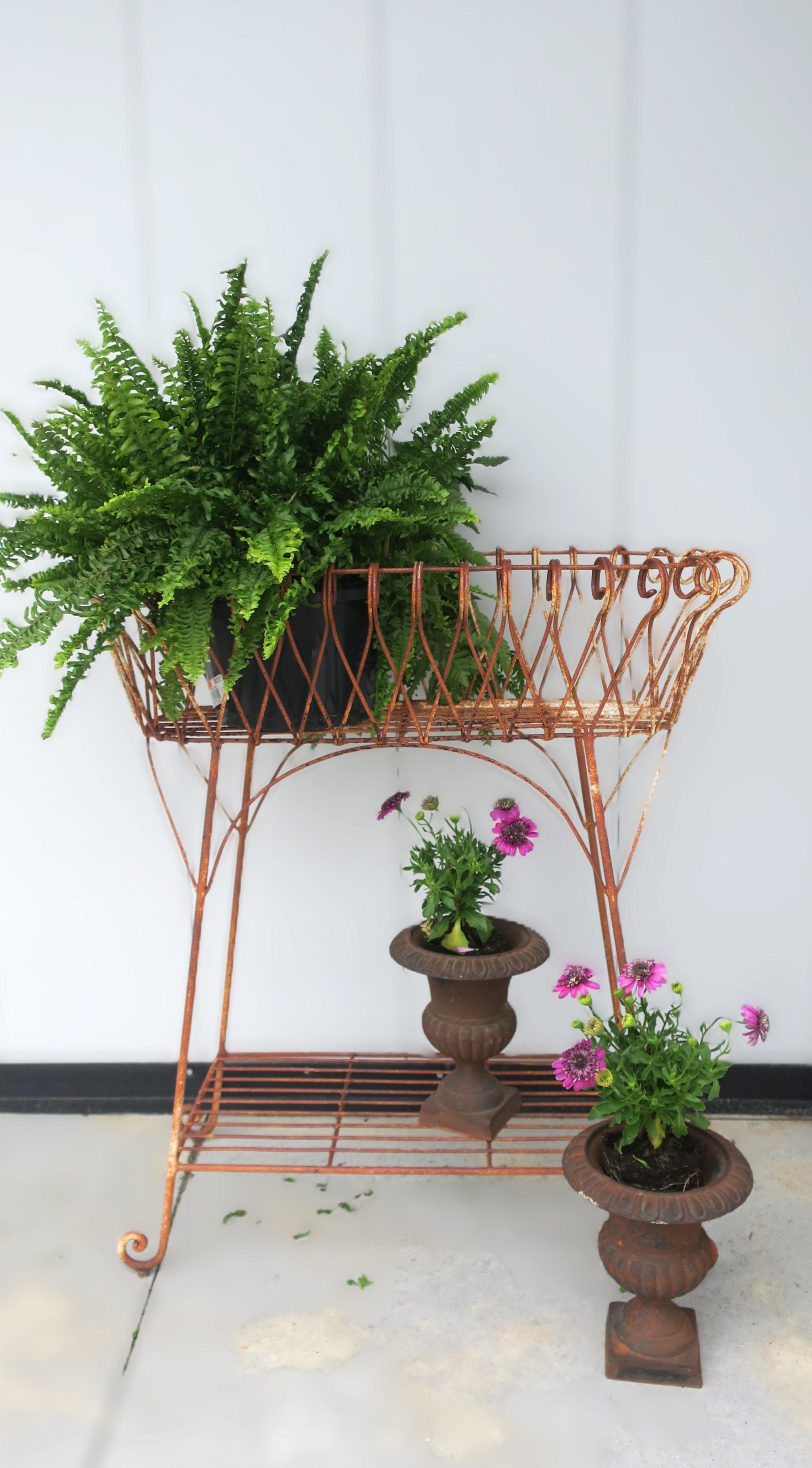 Neoclassical Iron Urns Flower or Plant Planters Jardinières, Pair For Sale 4