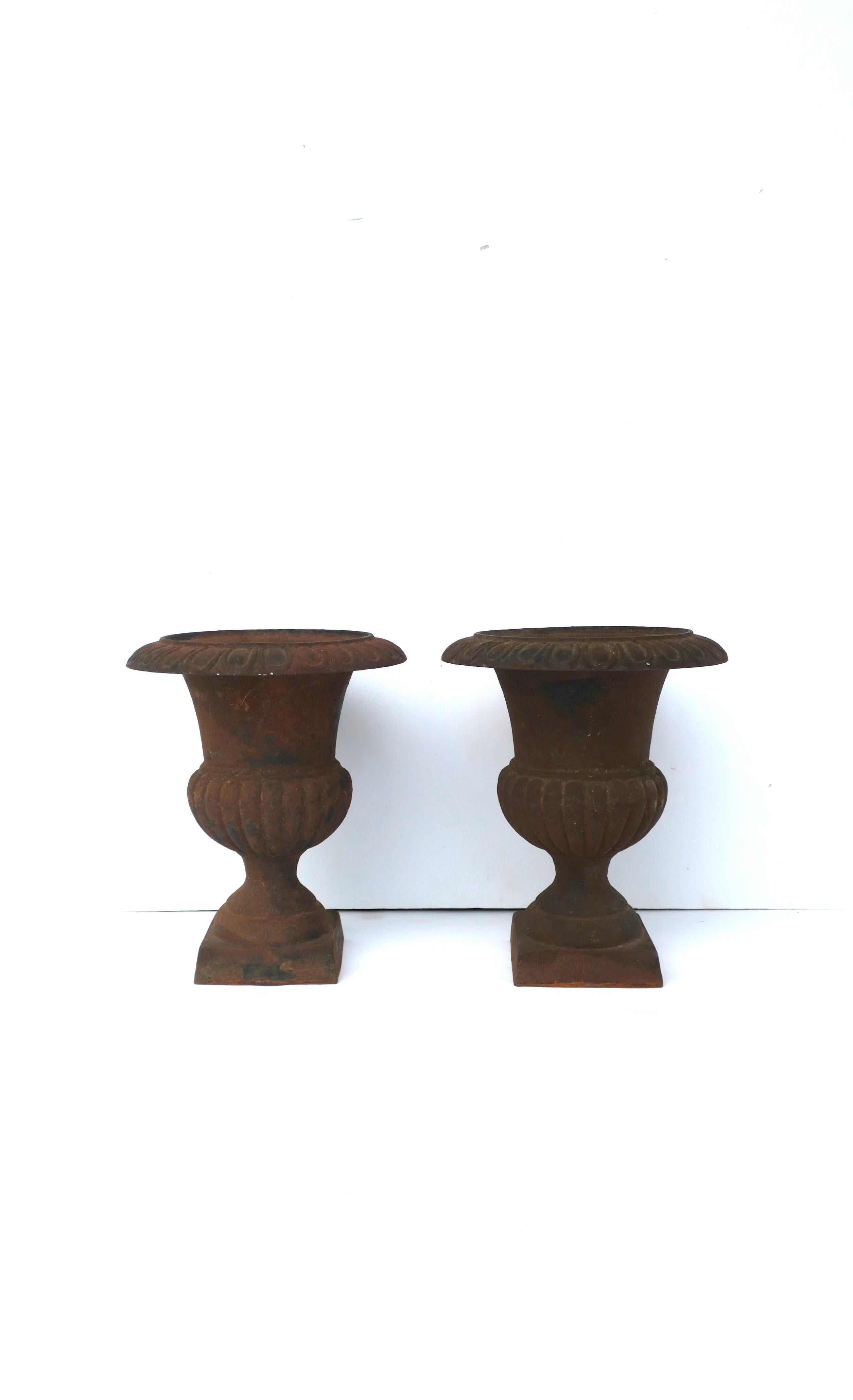 20th Century Neoclassical Iron Urns Flower or Plant Planters Jardinières, Pair For Sale