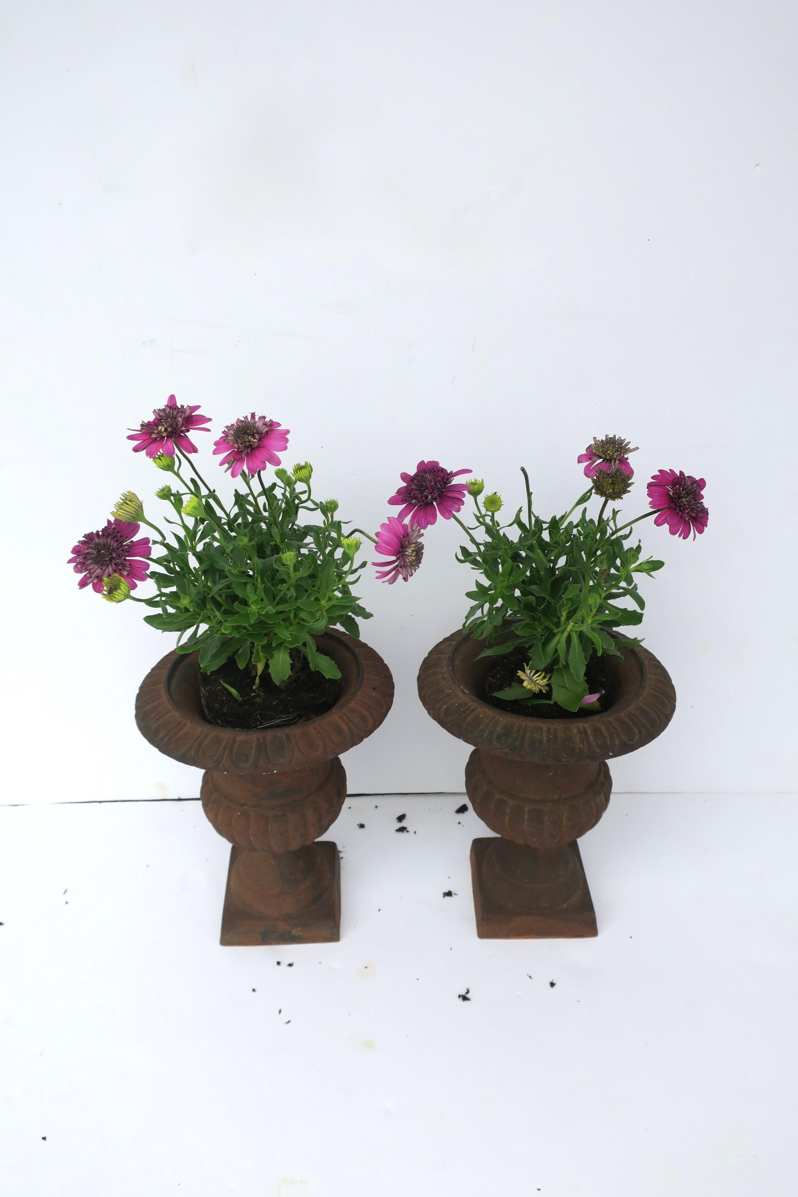 Neoclassical Iron Urns Flower or Plant Planters Jardinières, Pair For Sale 2
