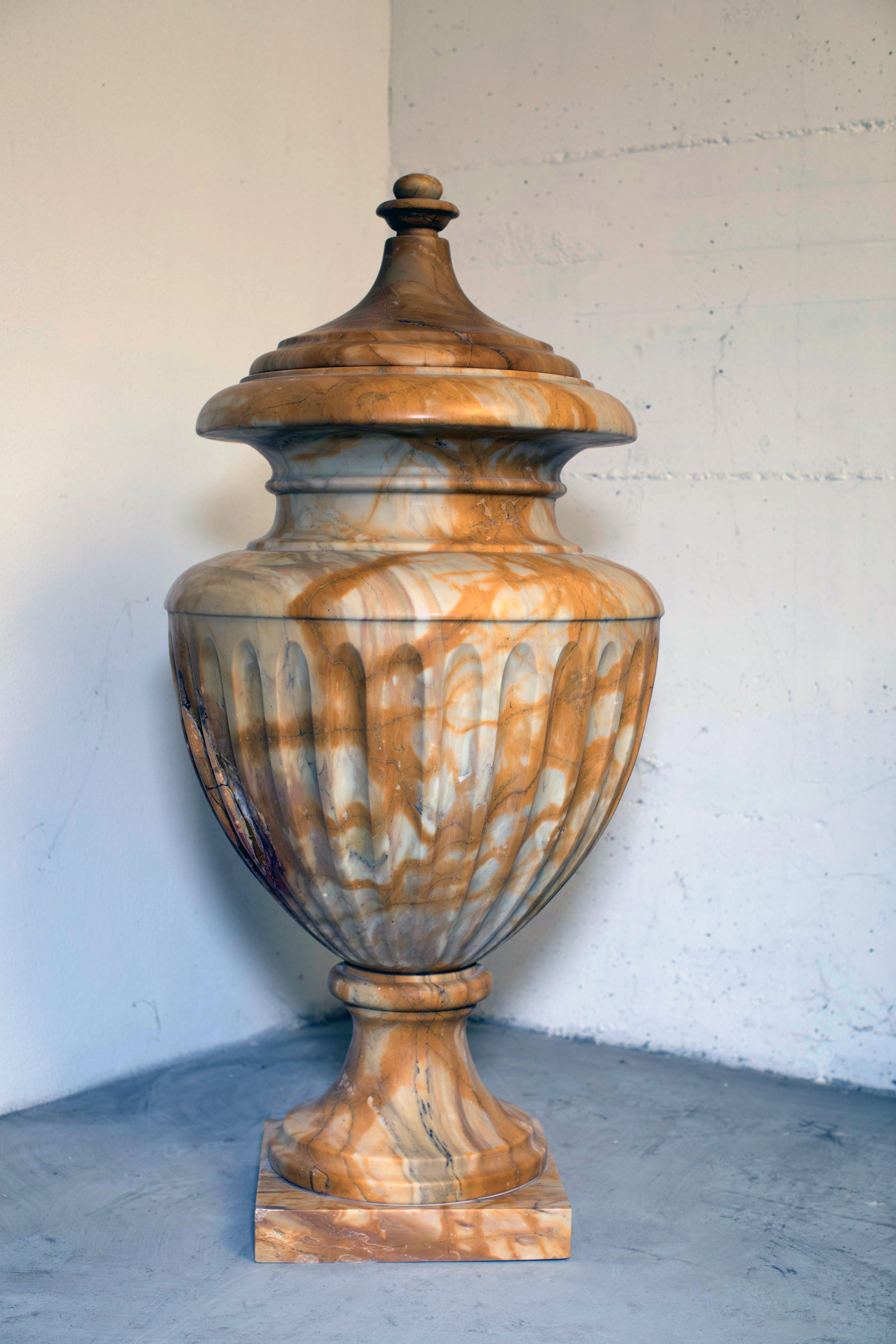 Neoclassical Italian Siena Yellow Marble Decorative Vase Ready in Stock For Sale 4