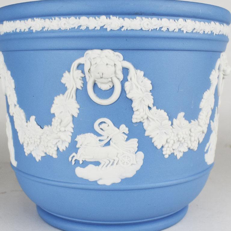 wedgwood flower pot