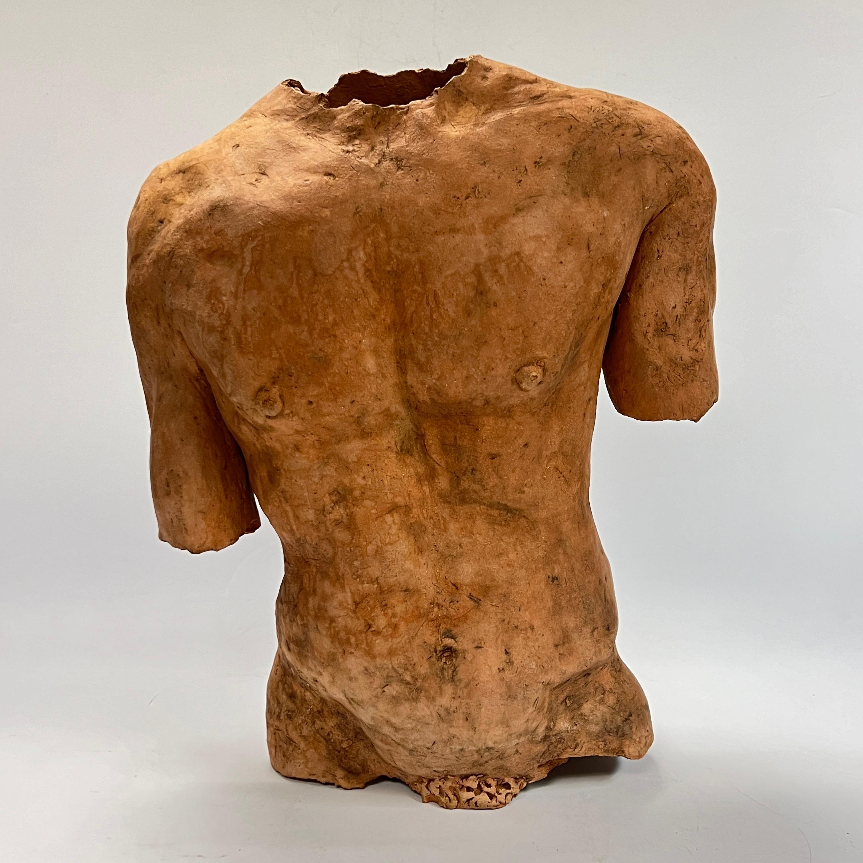 Unknown Neoclassical Male Torso After the Ancient in Terracotta For Sale