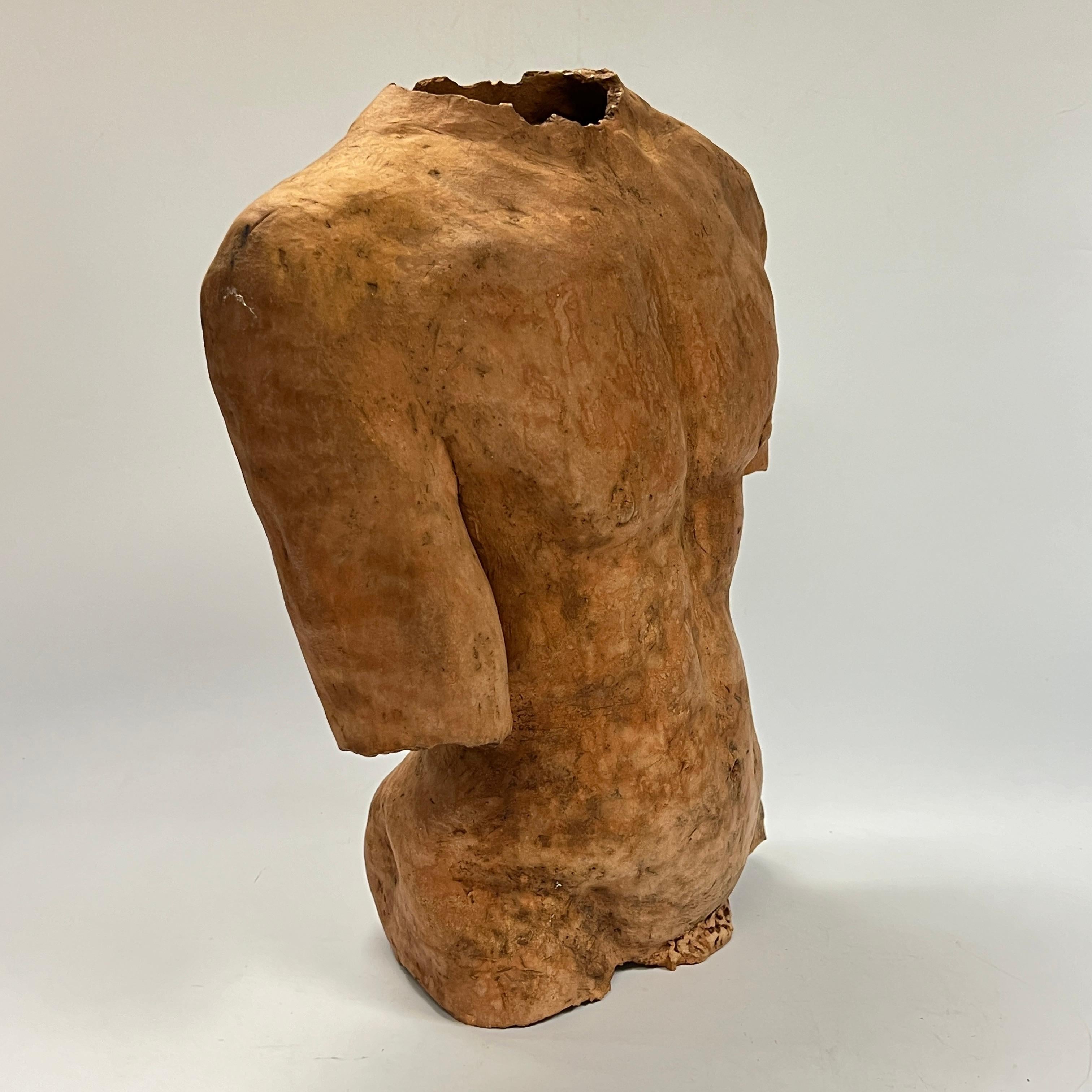 Neoclassical Male Torso After the Ancient in Terracotta In Good Condition For Sale In New York, NY