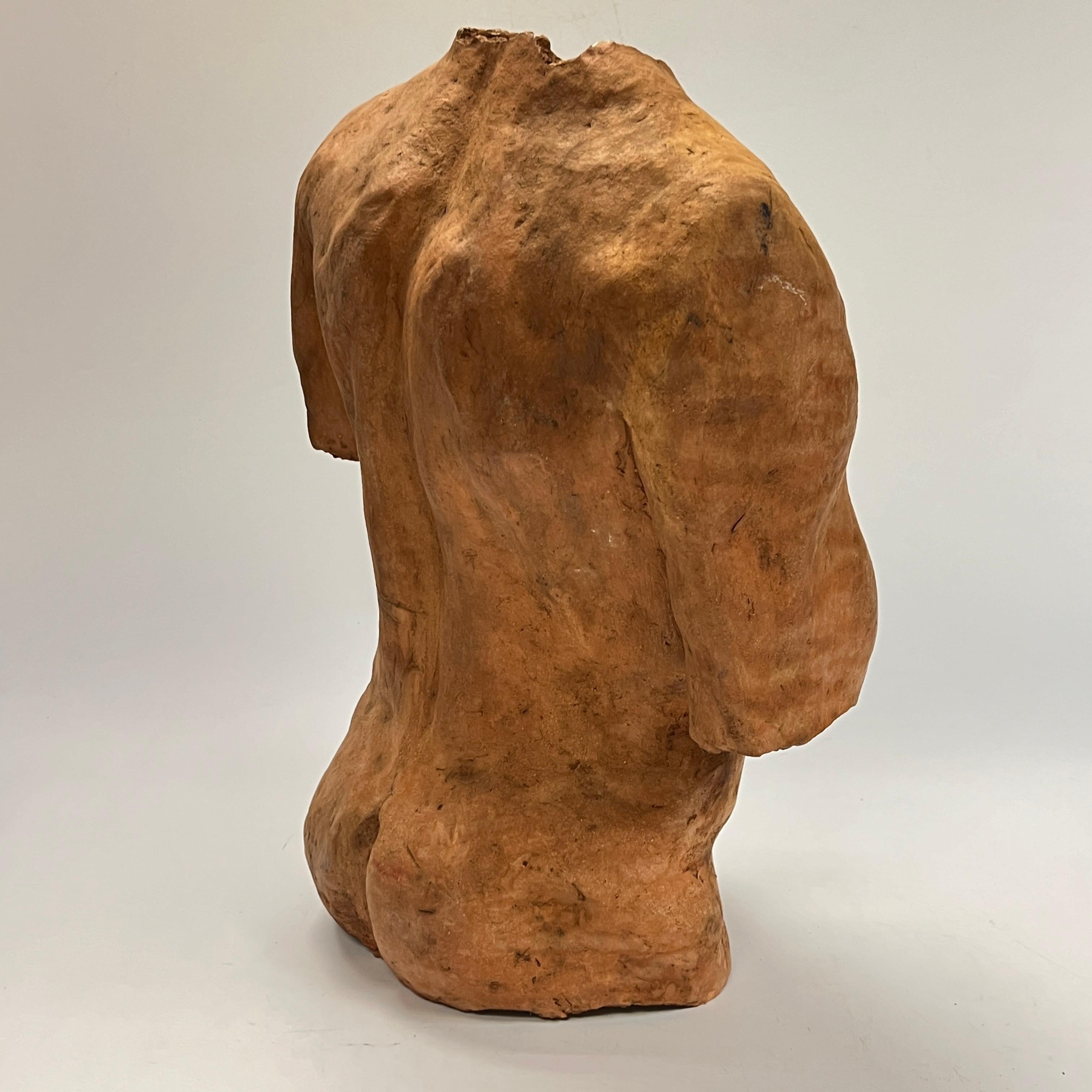 20th Century Neoclassical Male Torso After the Ancient in Terracotta For Sale