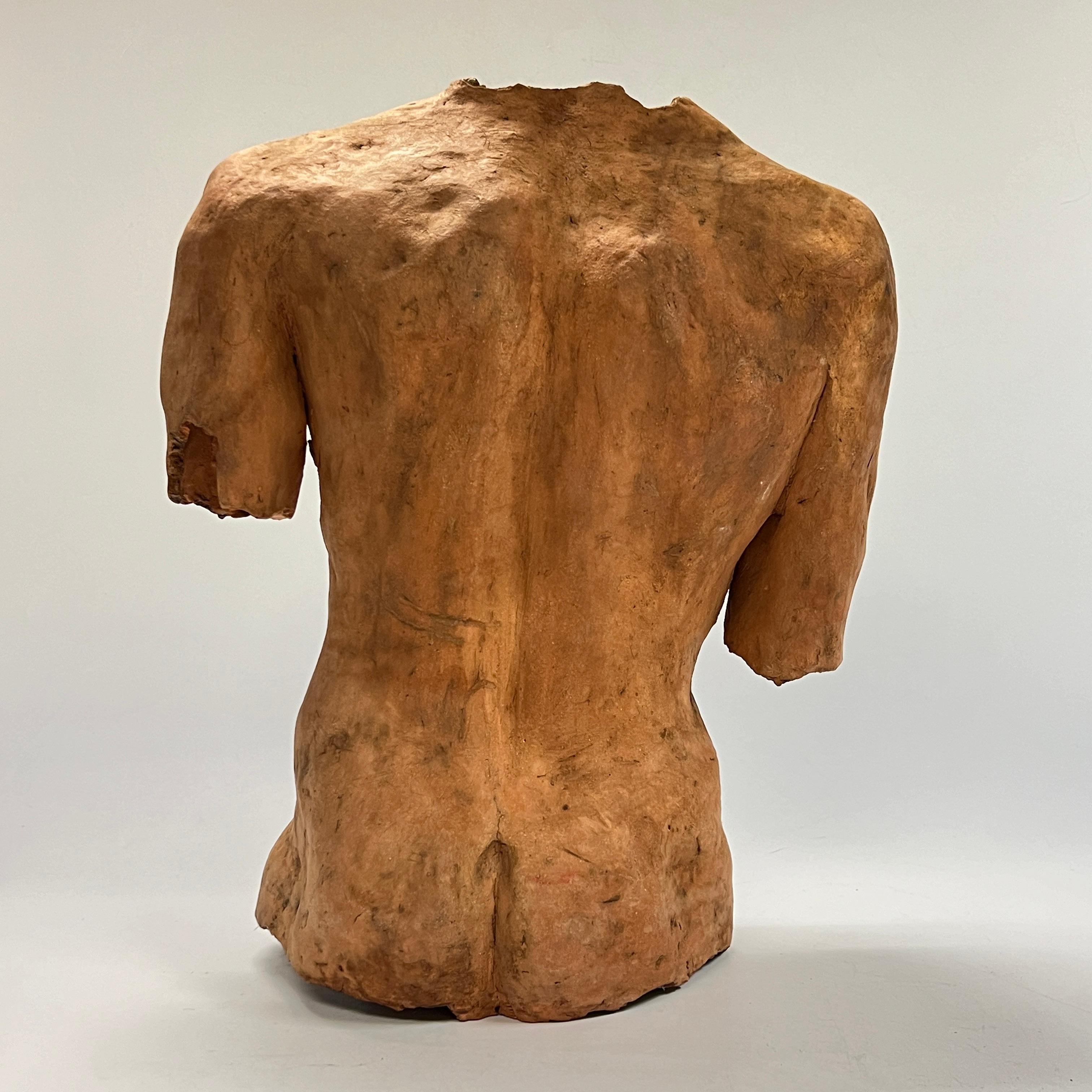 Neoclassical Male Torso After the Ancient in Terracotta For Sale 1