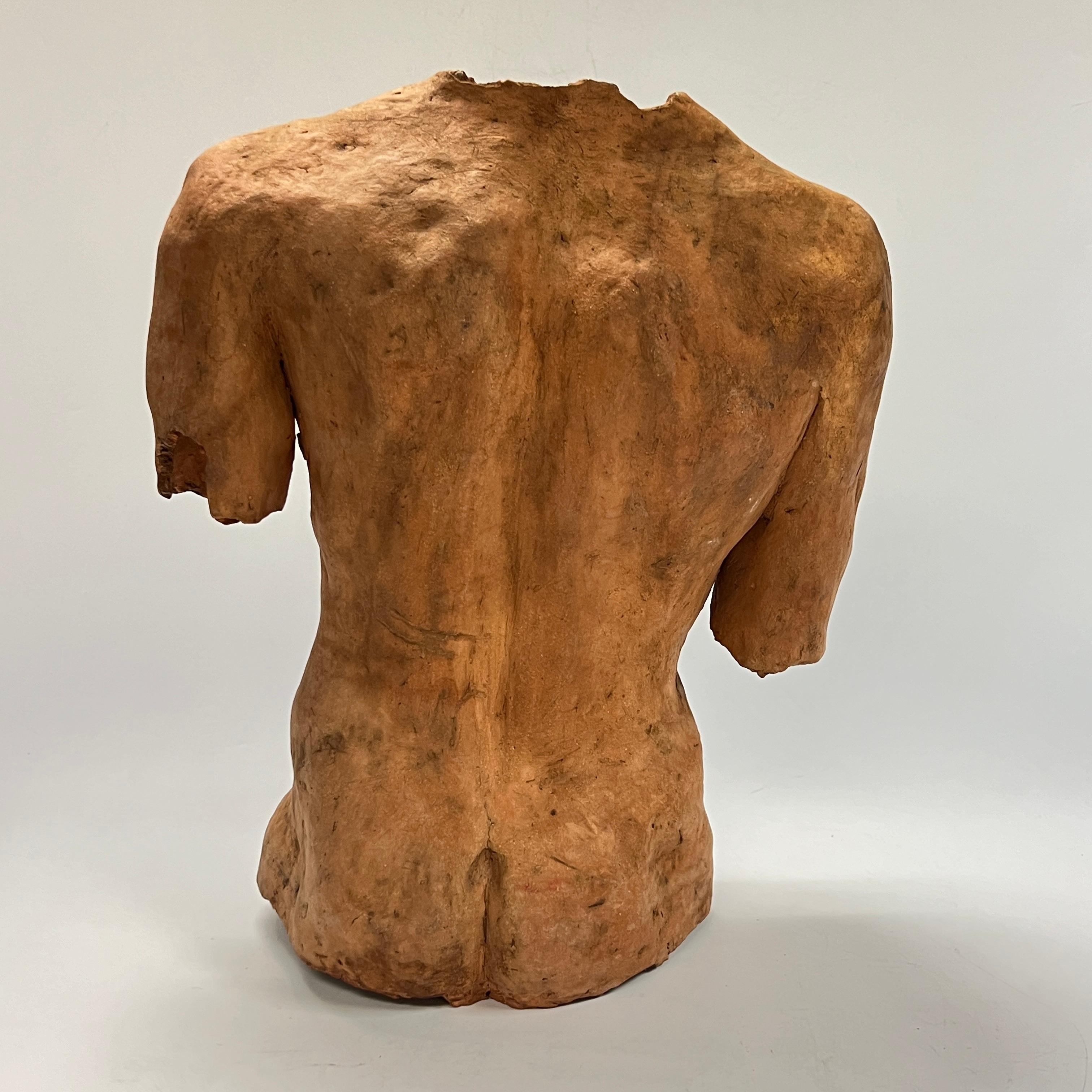 Neoclassical Male Torso After the Ancient in Terracotta For Sale 2