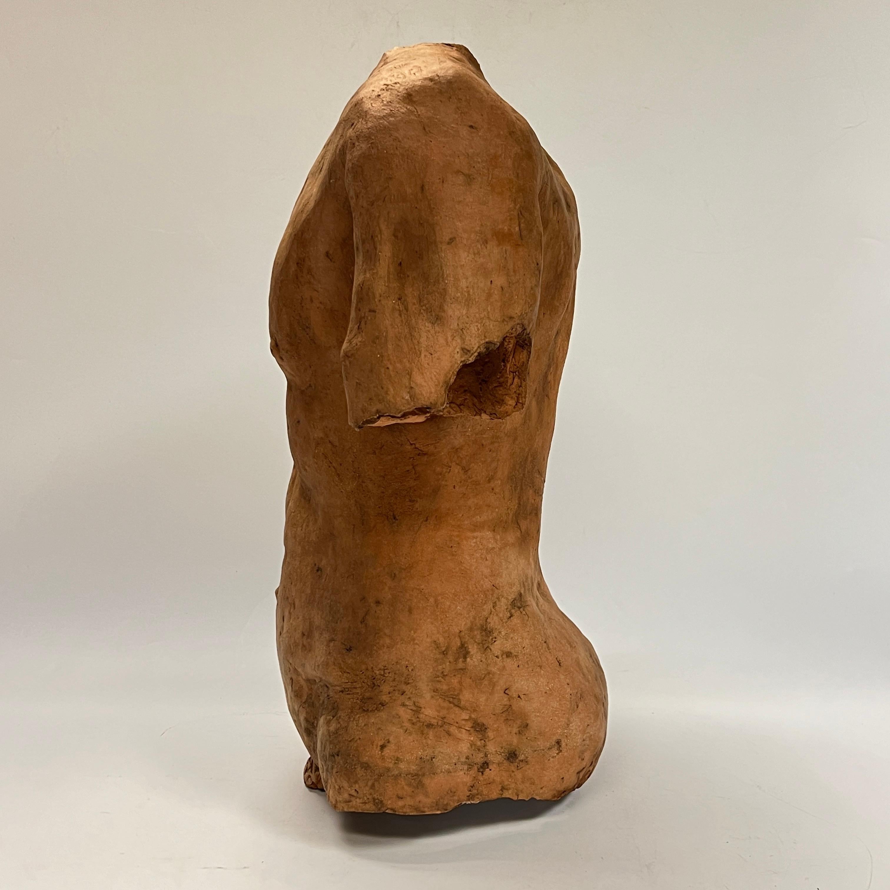 Neoclassical Male Torso After the Ancient in Terracotta For Sale 3