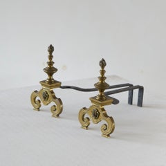 Neoclassical Pair of Andirons in Brass with Lions Late 19th Century