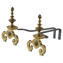Coppia di androni neoclassici in ottone con leoni Fine Ottocento