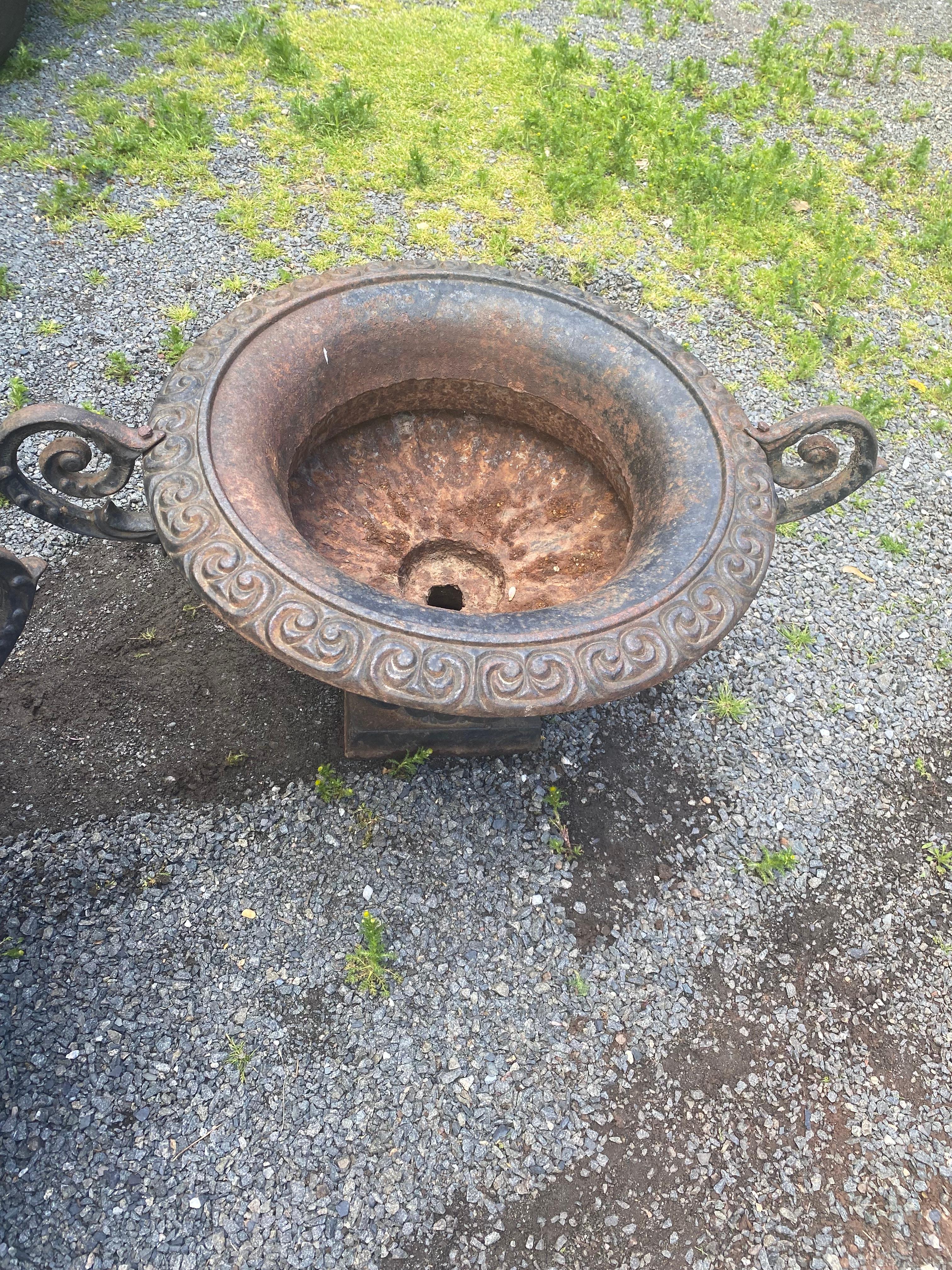Beautiful pair of vintage cast iron planters having elaborate handles and neoclassical form and decoration.
35 w handle to handle
24 w outer edge of bowl
internal width is 14
(Dragert).