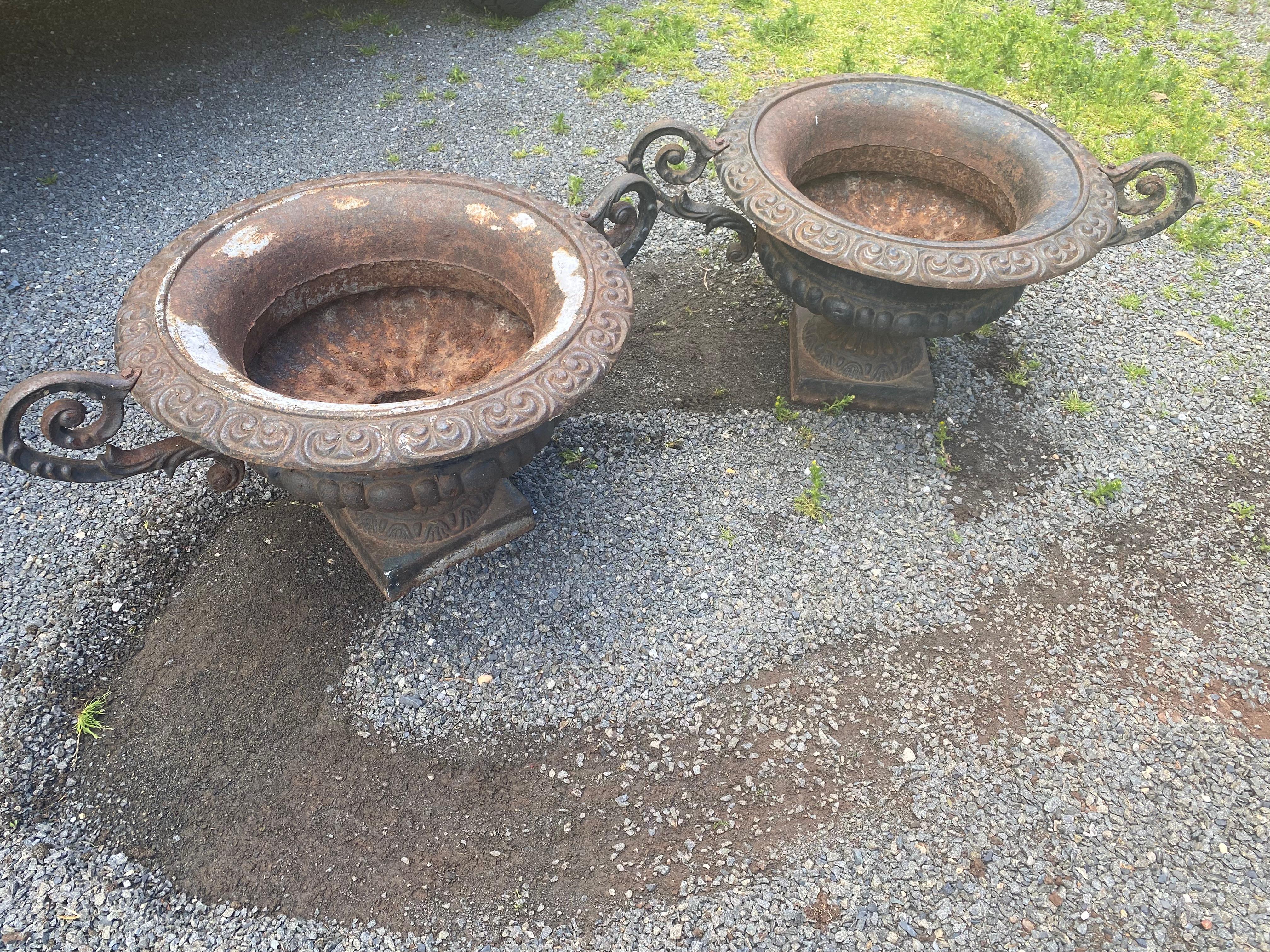 vintage cast iron planter