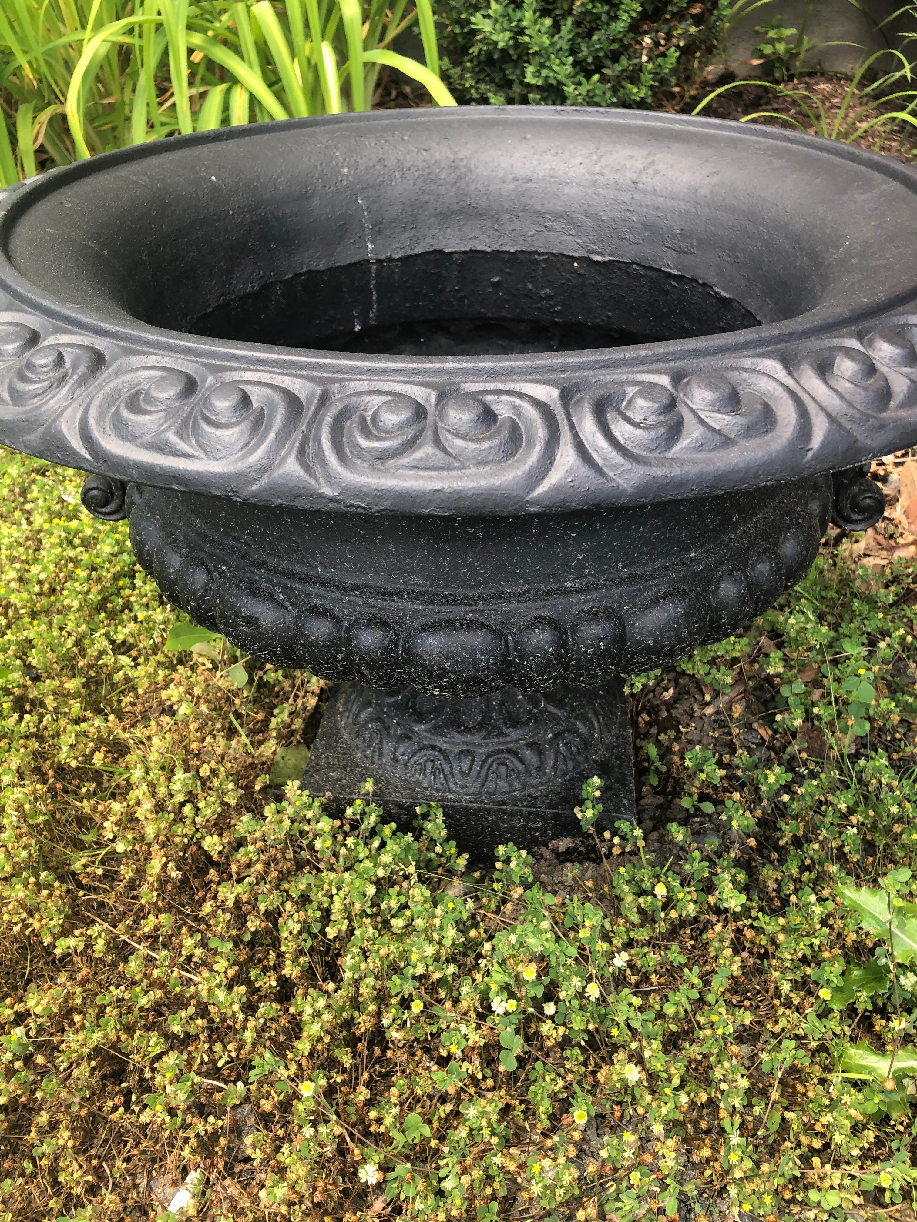 Neoclassical Pair of Newly Painted Black Iron Planters Urns with Fancy Handles For Sale 2