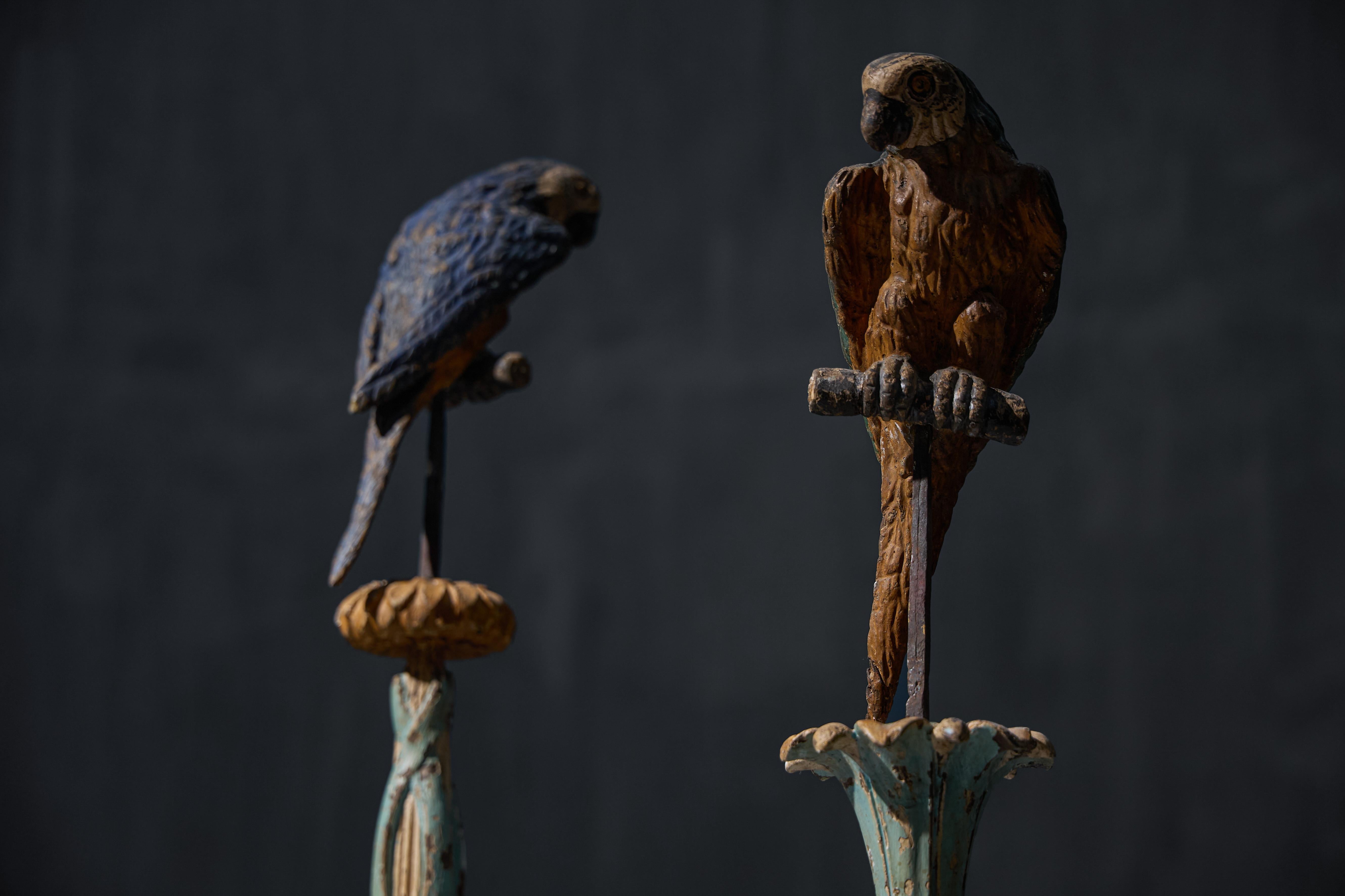 Sculture neoclassiche di pappagalli su piedistalli, Italia, XIX secolo in vendita 4