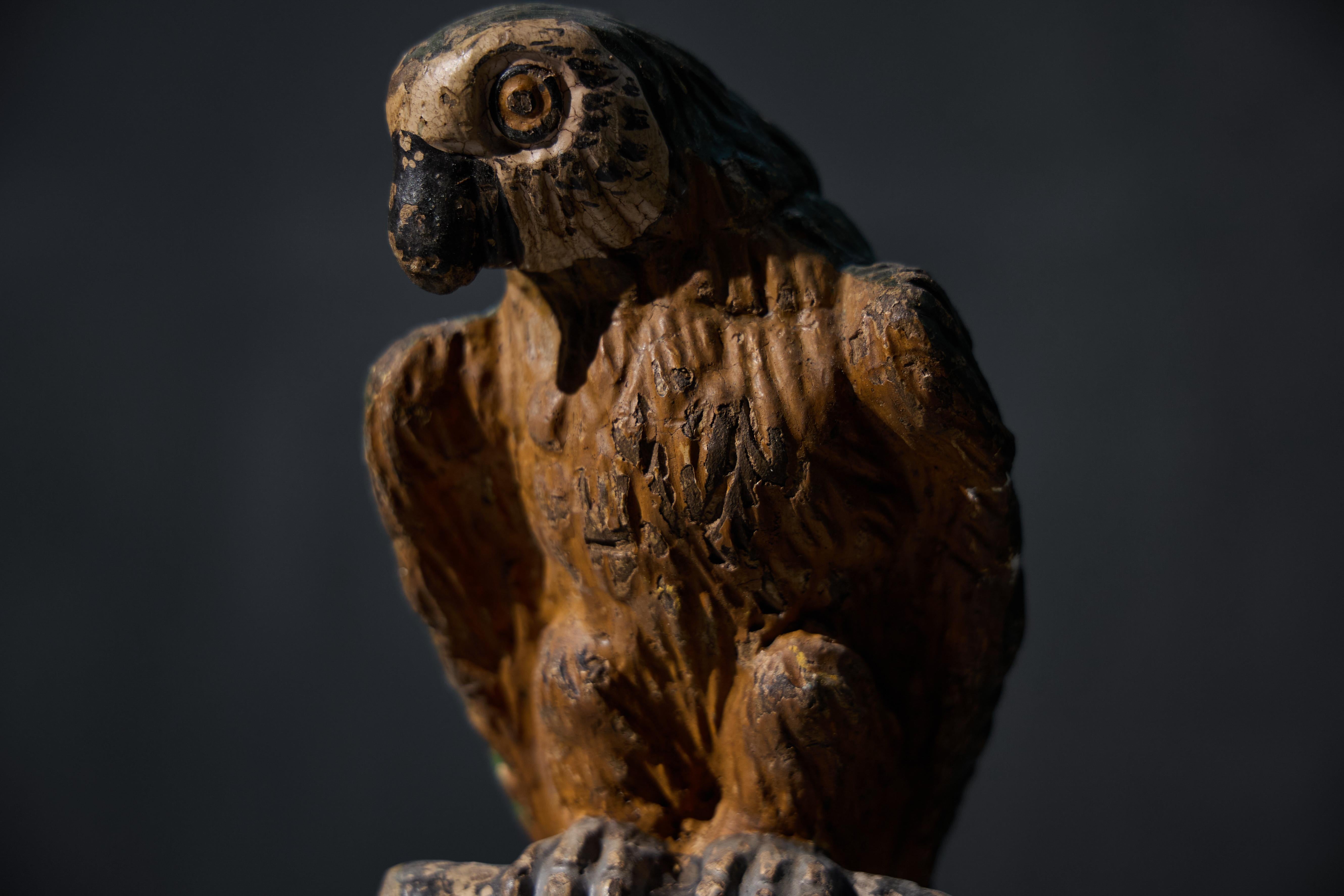 Sculture neoclassiche di pappagalli su piedistalli, Italia, XIX secolo in vendita 6