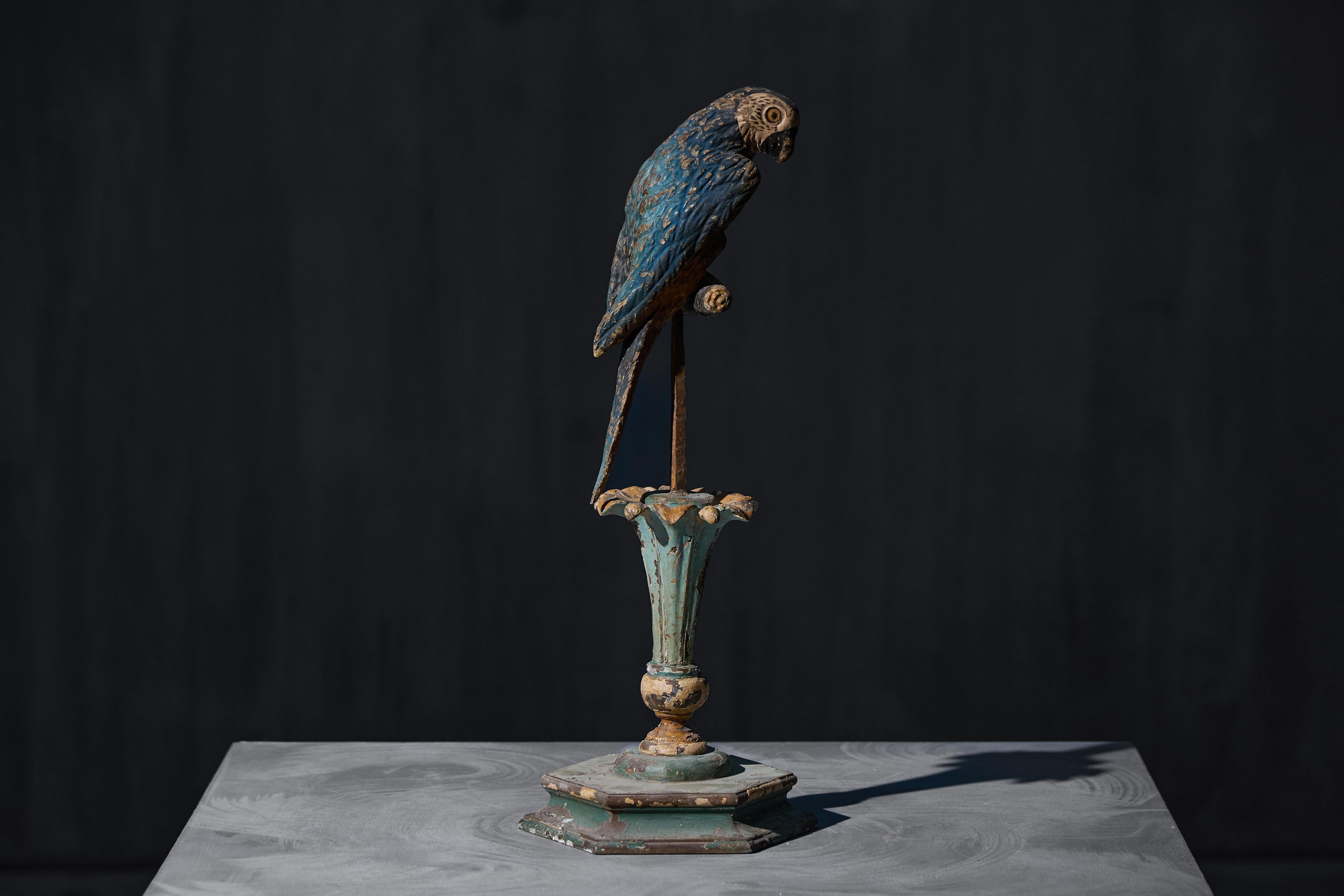 Sculture neoclassiche di pappagalli su piedistalli, Italia, XIX secolo in vendita 8