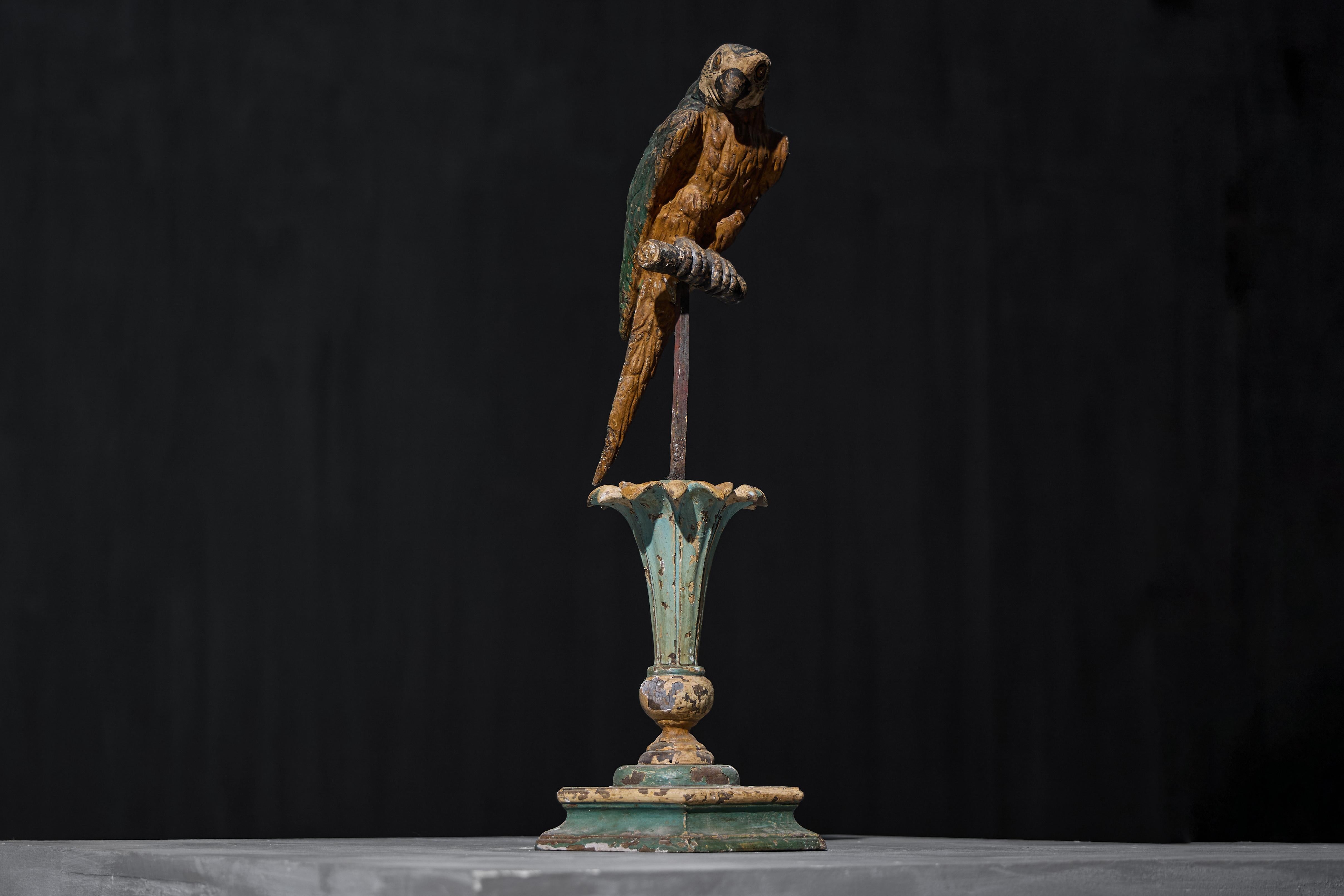 Sculture neoclassiche di pappagalli su piedistalli, Italia, XIX secolo in vendita 10