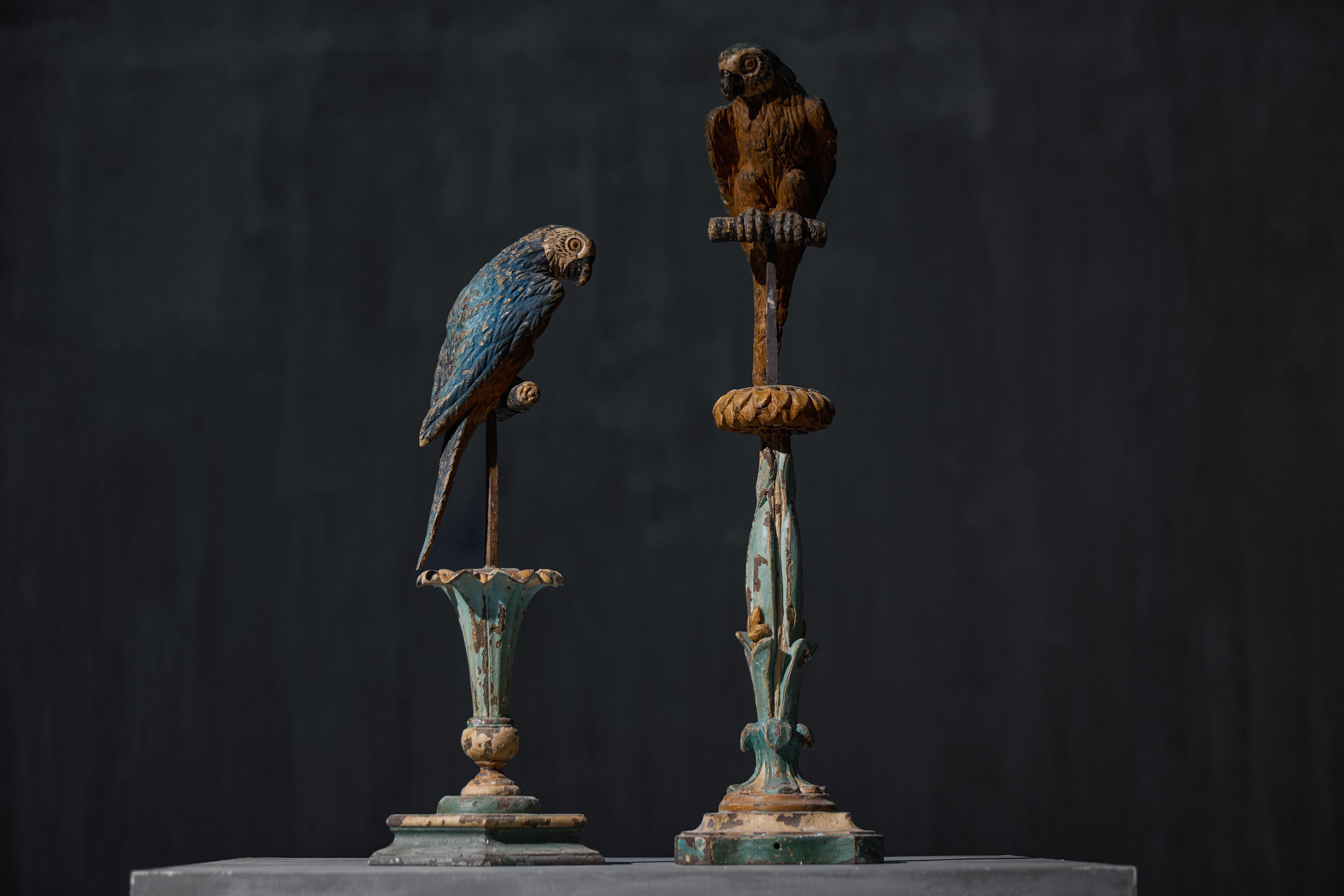 Sculture neoclassiche di pappagalli su piedistalli, Italia, XIX secolo in vendita 3
