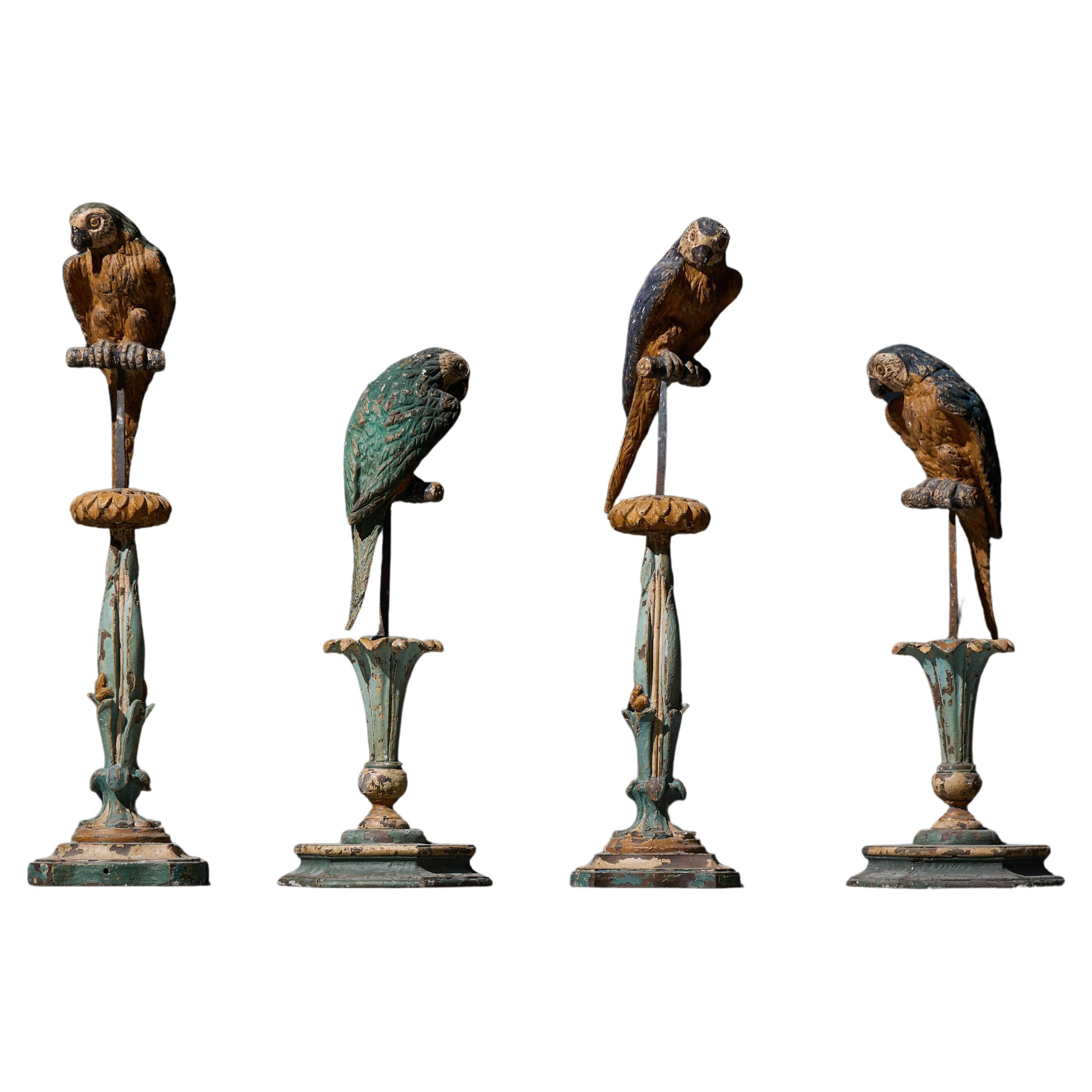 Sculture neoclassiche di pappagalli su piedistalli, Italia, XIX secolo