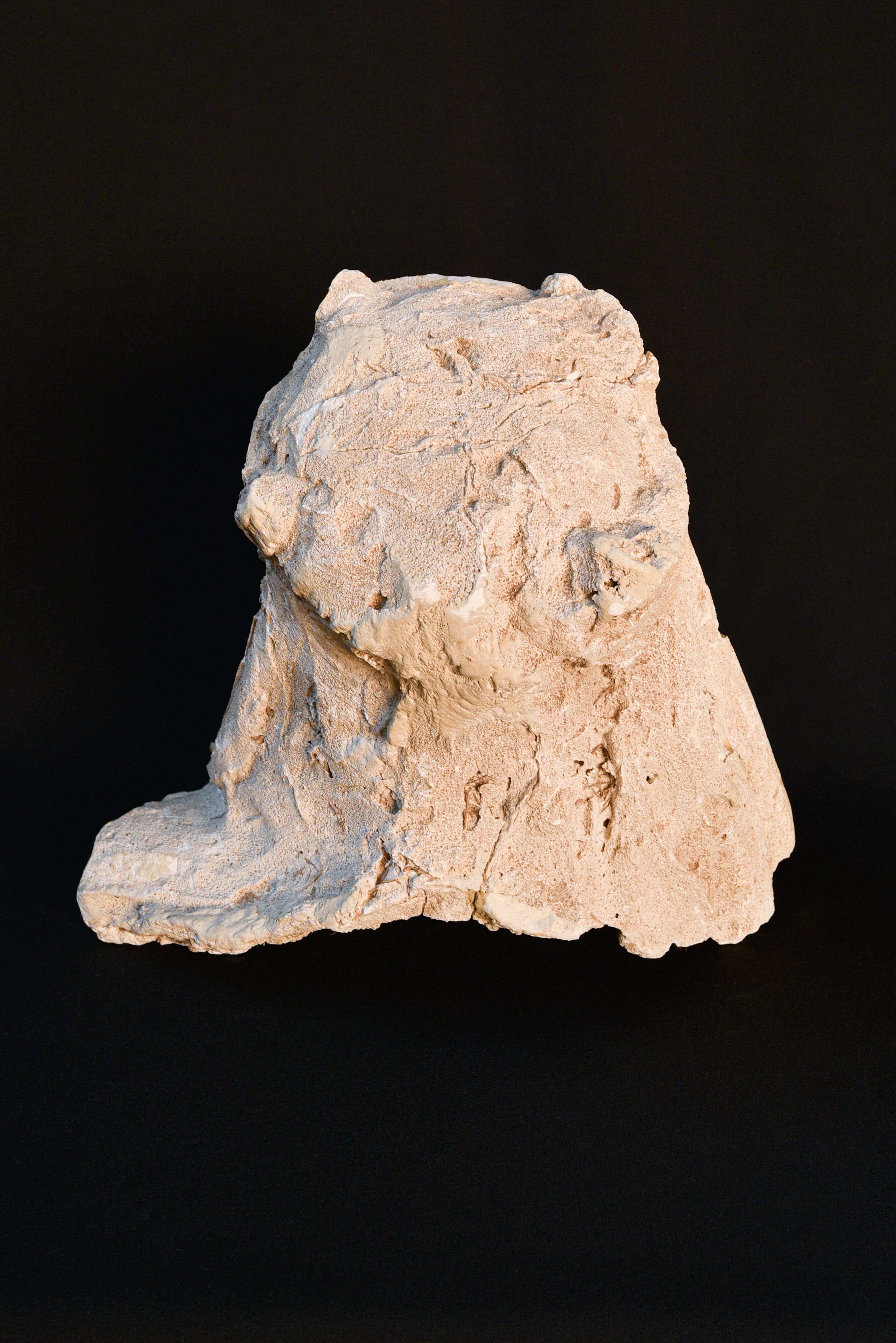 19th Century Neoclassical sculpture of Mother Mary's head, made from plaster and straw  For Sale