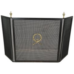 Neoclassical Steel, Bronze, Brass and Grilling Fire Place Screen, French