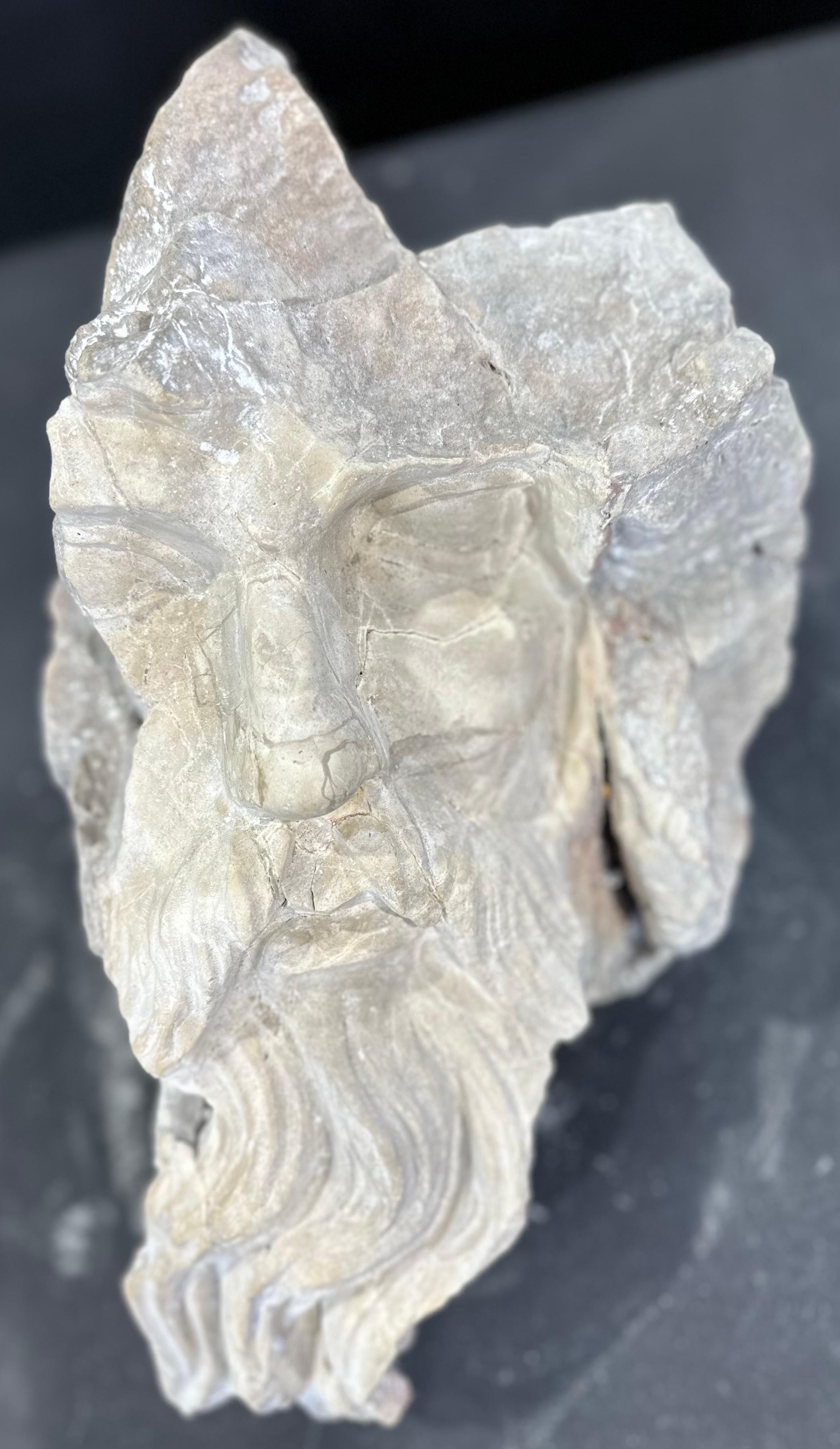 European NeoClassical Style Carved Head In Stone For Sale