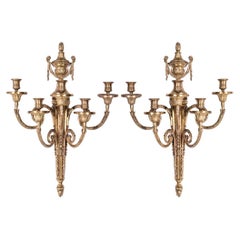 Neoclassical Style Gilt Bronze Sconces, Pair